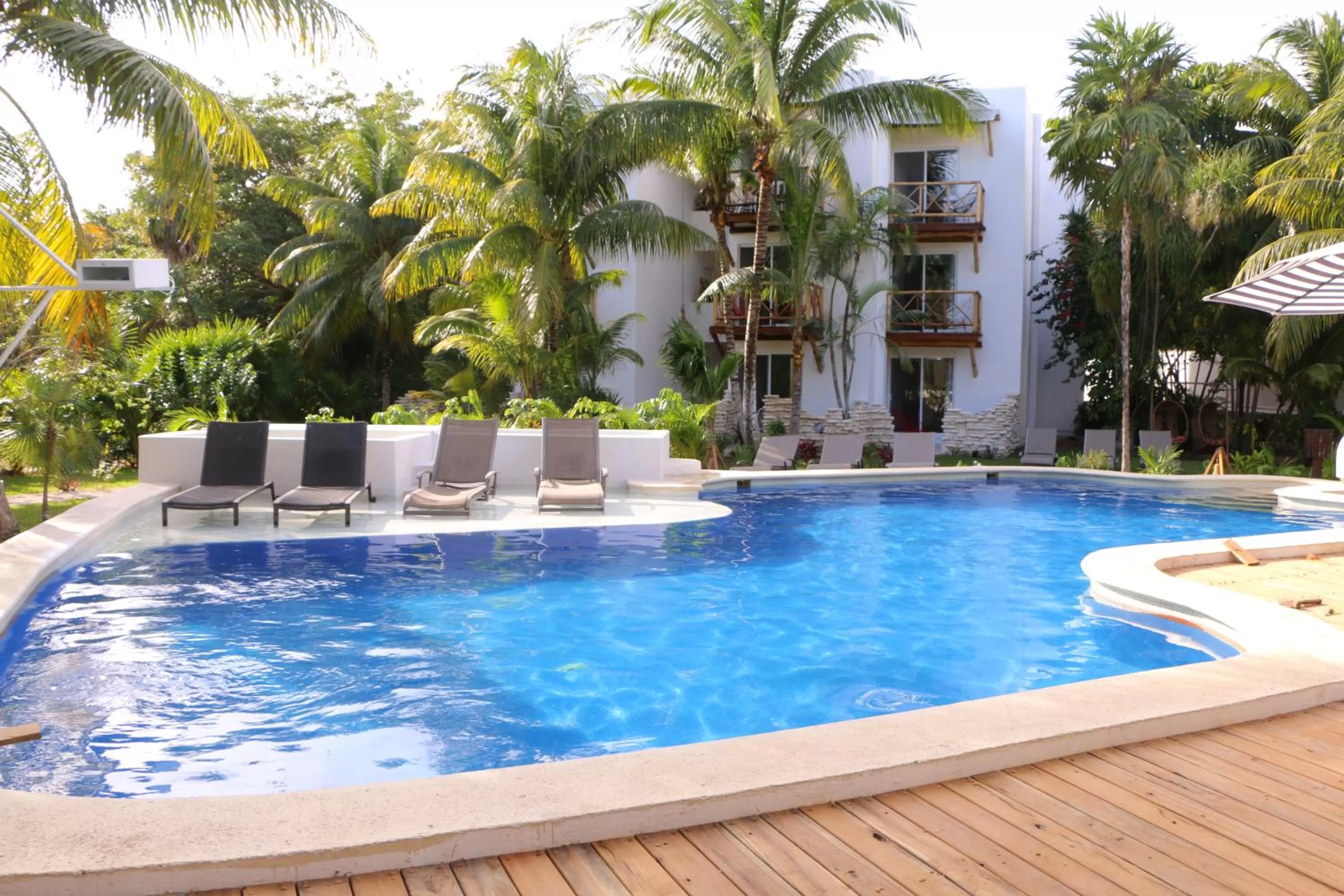 Garden, Swimming Pool in WishTulum
