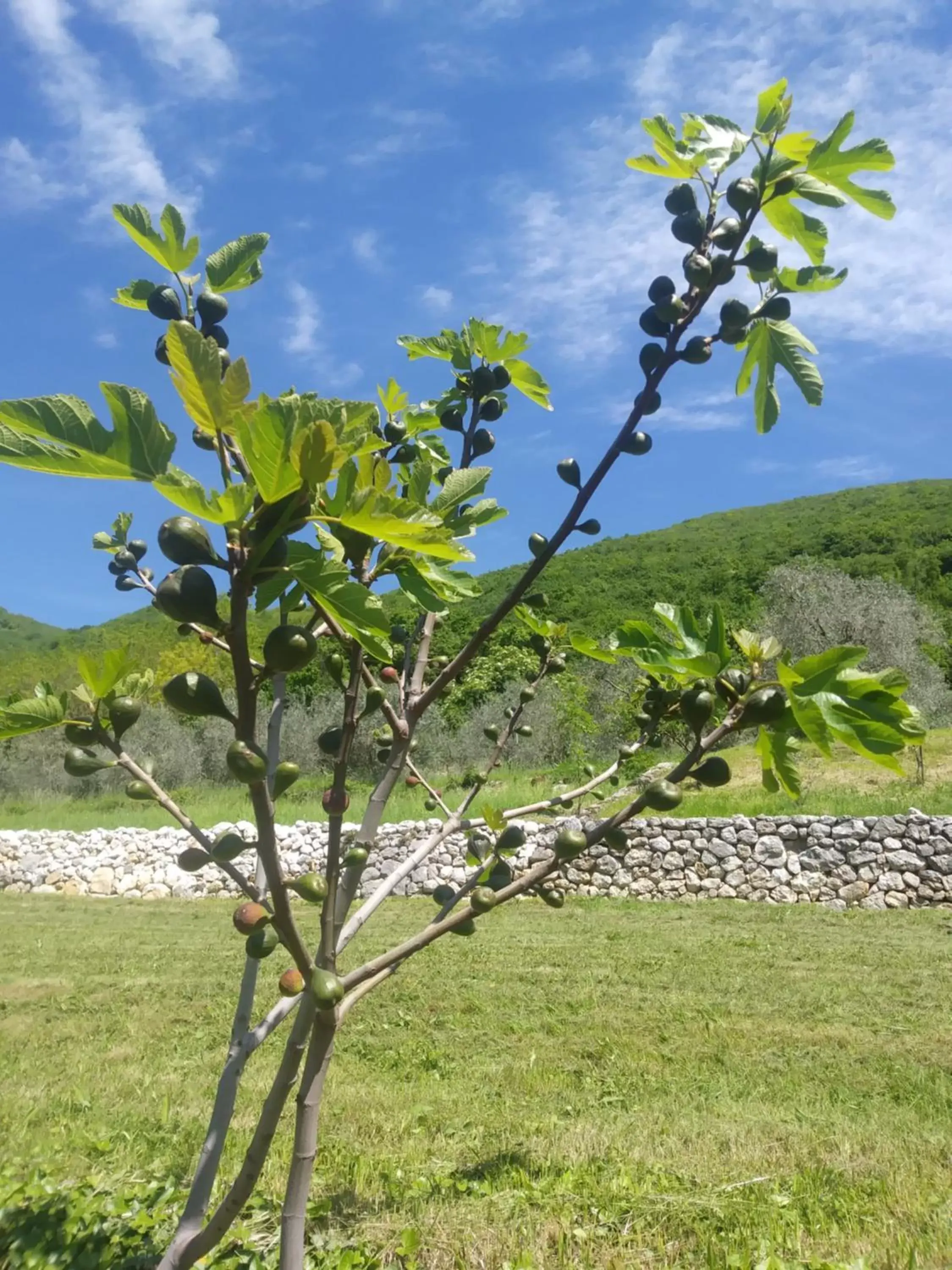 Mountain view in Poggio del Sole