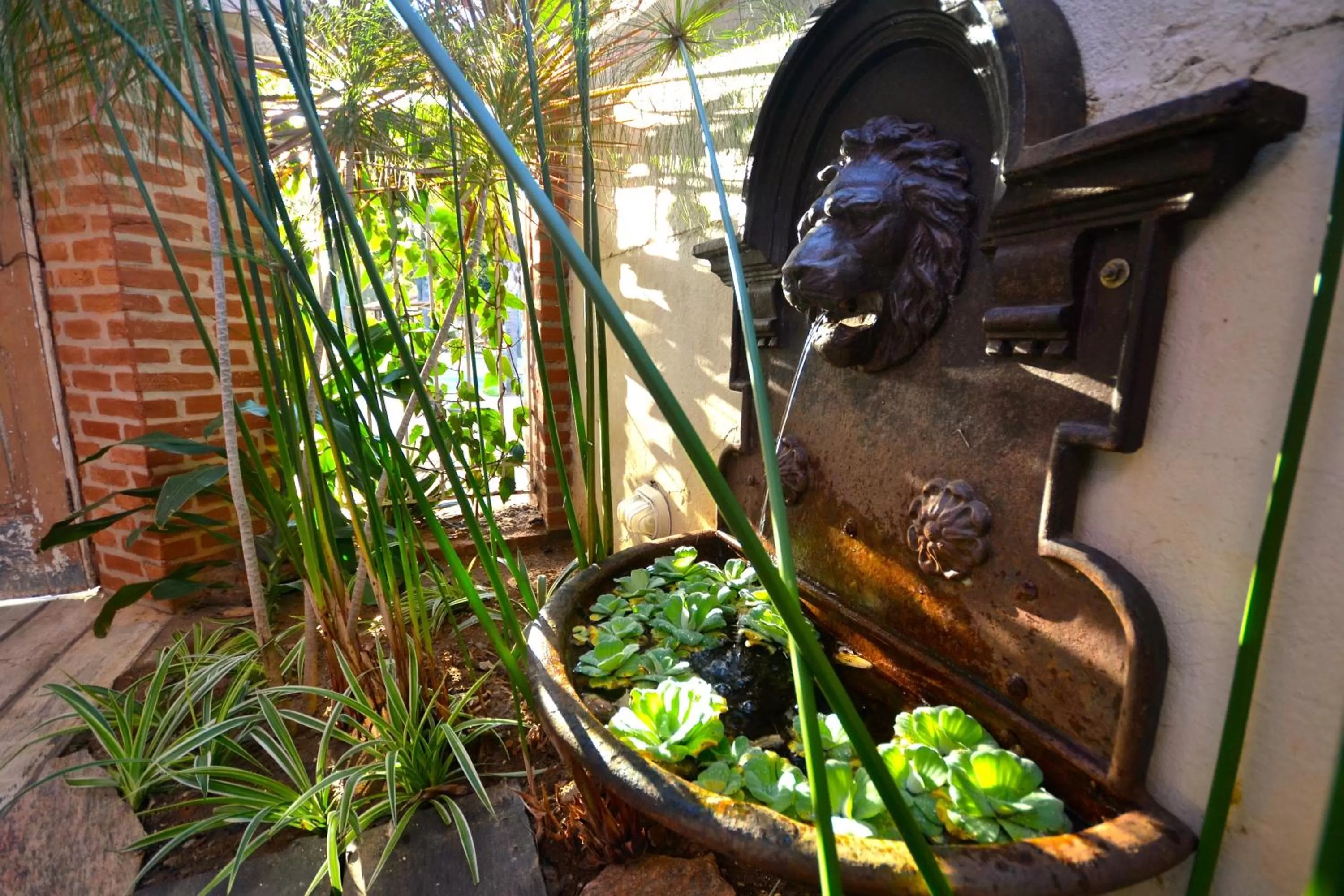 Day in Pousada do Centro Búzios