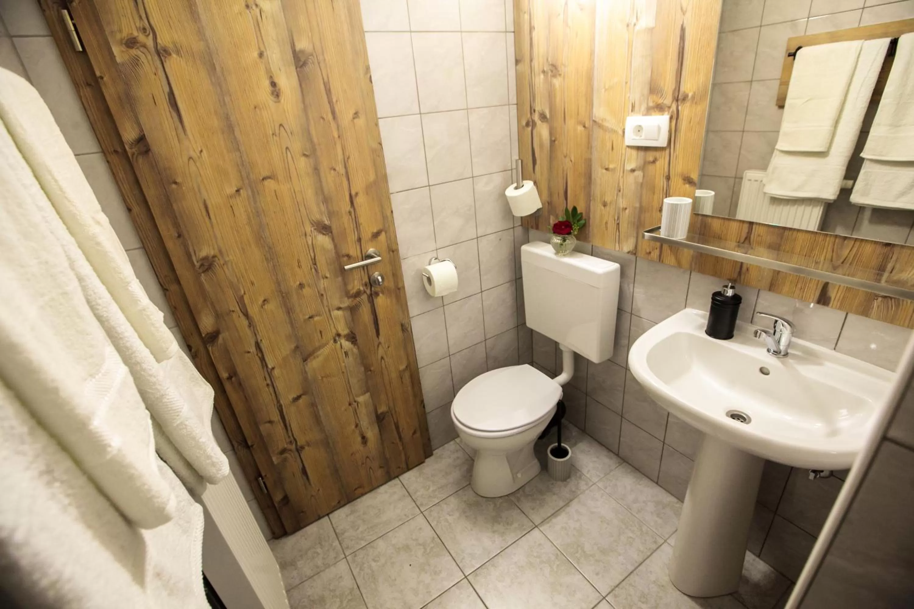 Shower in Hiša Poljana Rooms