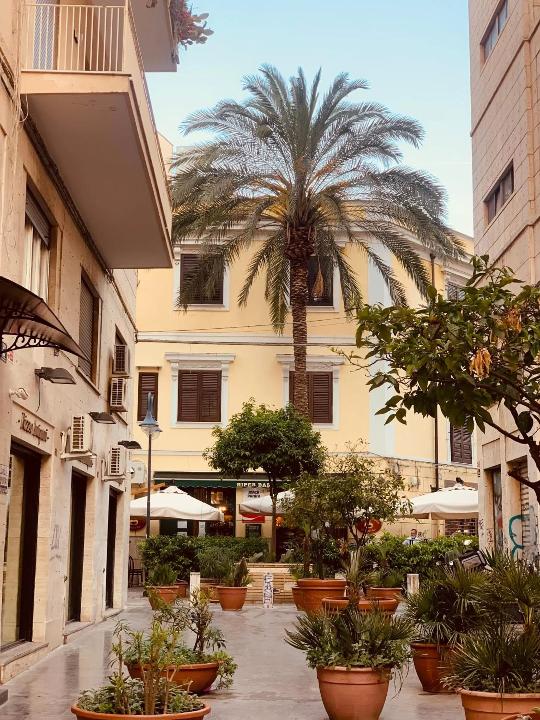 Neighbourhood in B&B Ungheria Ottantaquattro