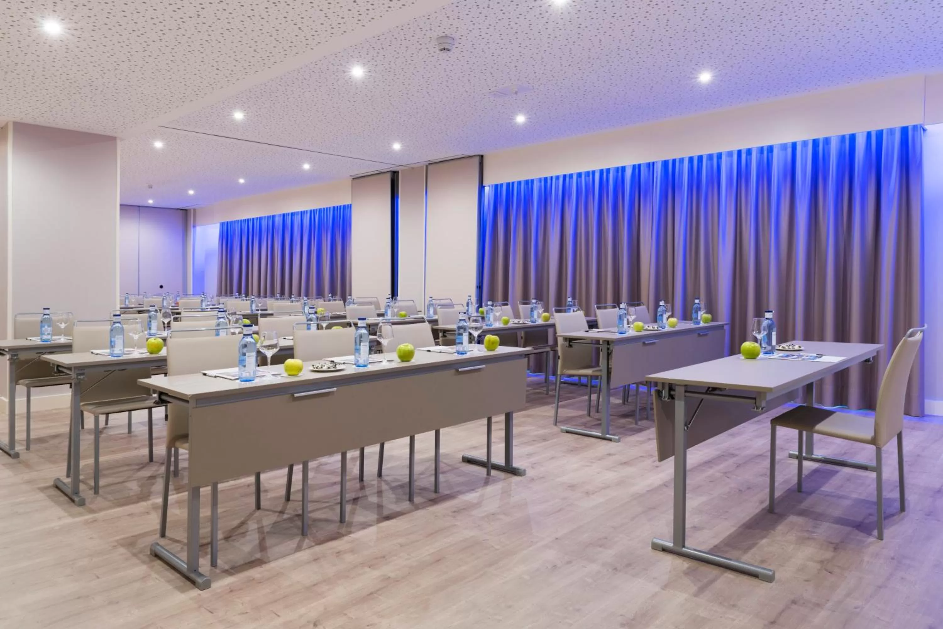 Business facilities in Elba Madrid Alcalá