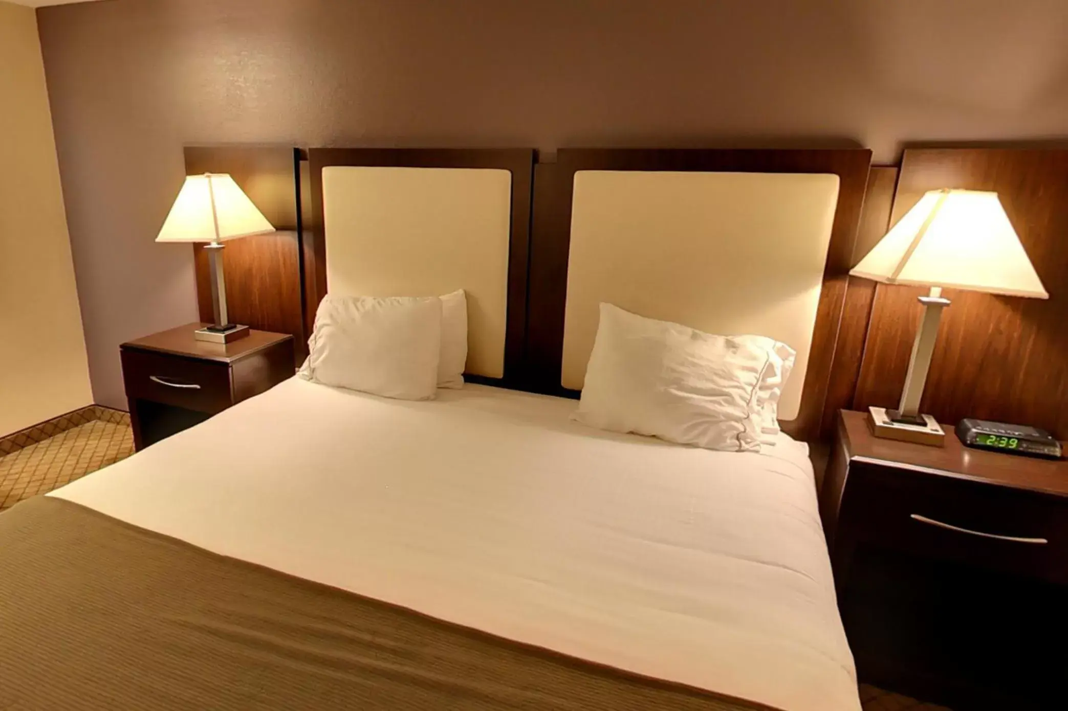 Photo of the whole room, Bed in Holiday Inn Express Hotel & Suites Blythewood, an IHG Hotel
