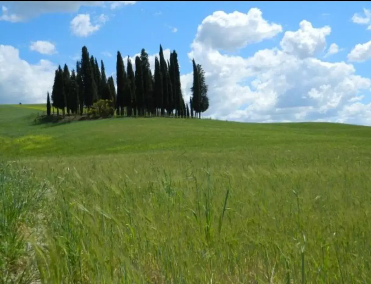 Cordella In Valdorcia Truffle and Olive Oil Resort