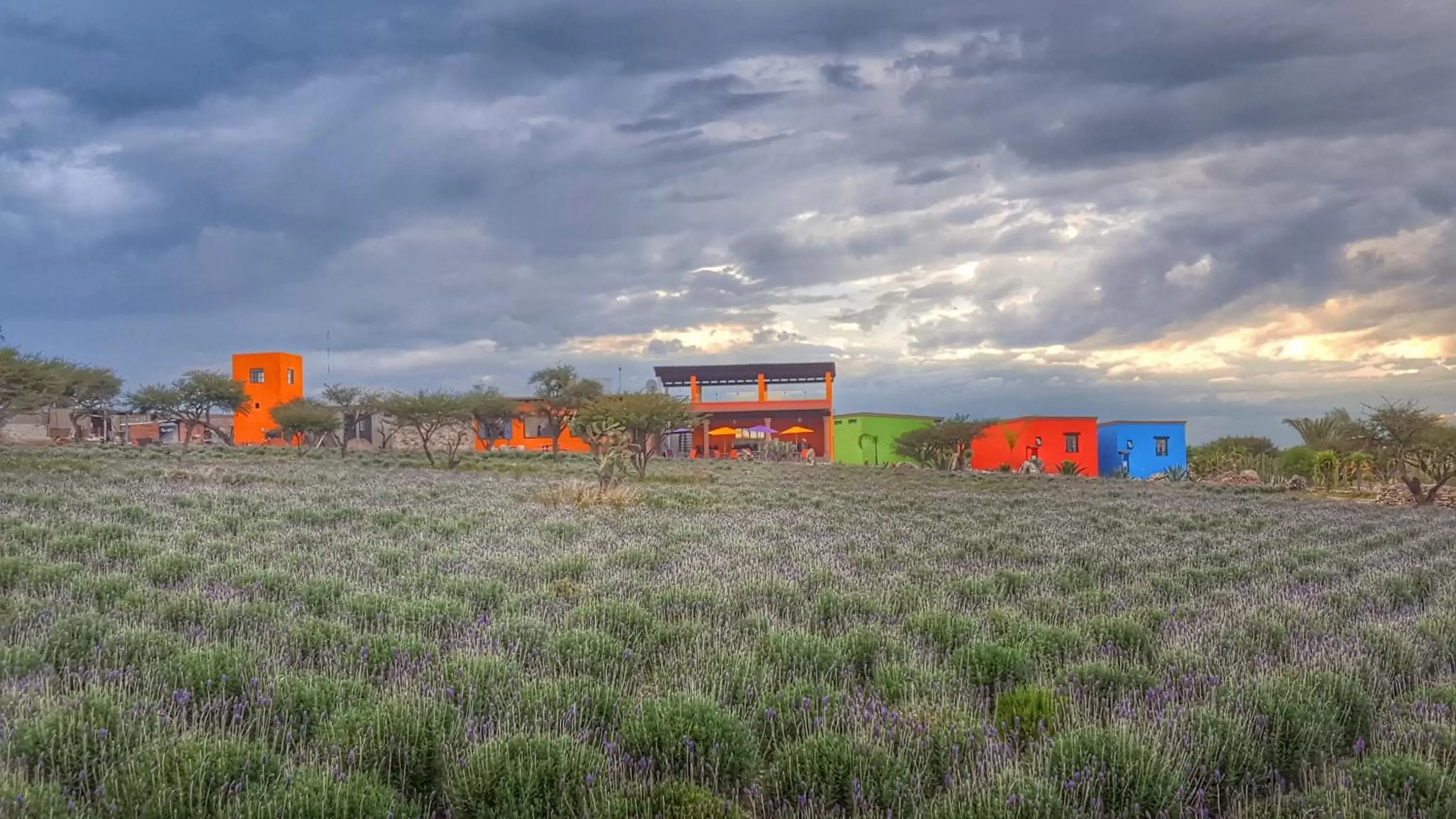 Property Building in El Macehual