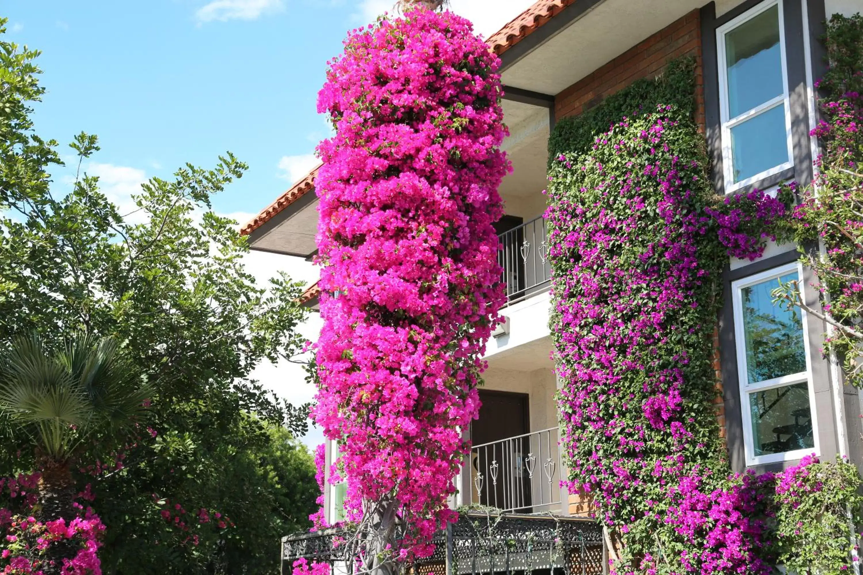 Property building, Facade/Entrance in Laguna Hills Lodge-Irvine Spectrum