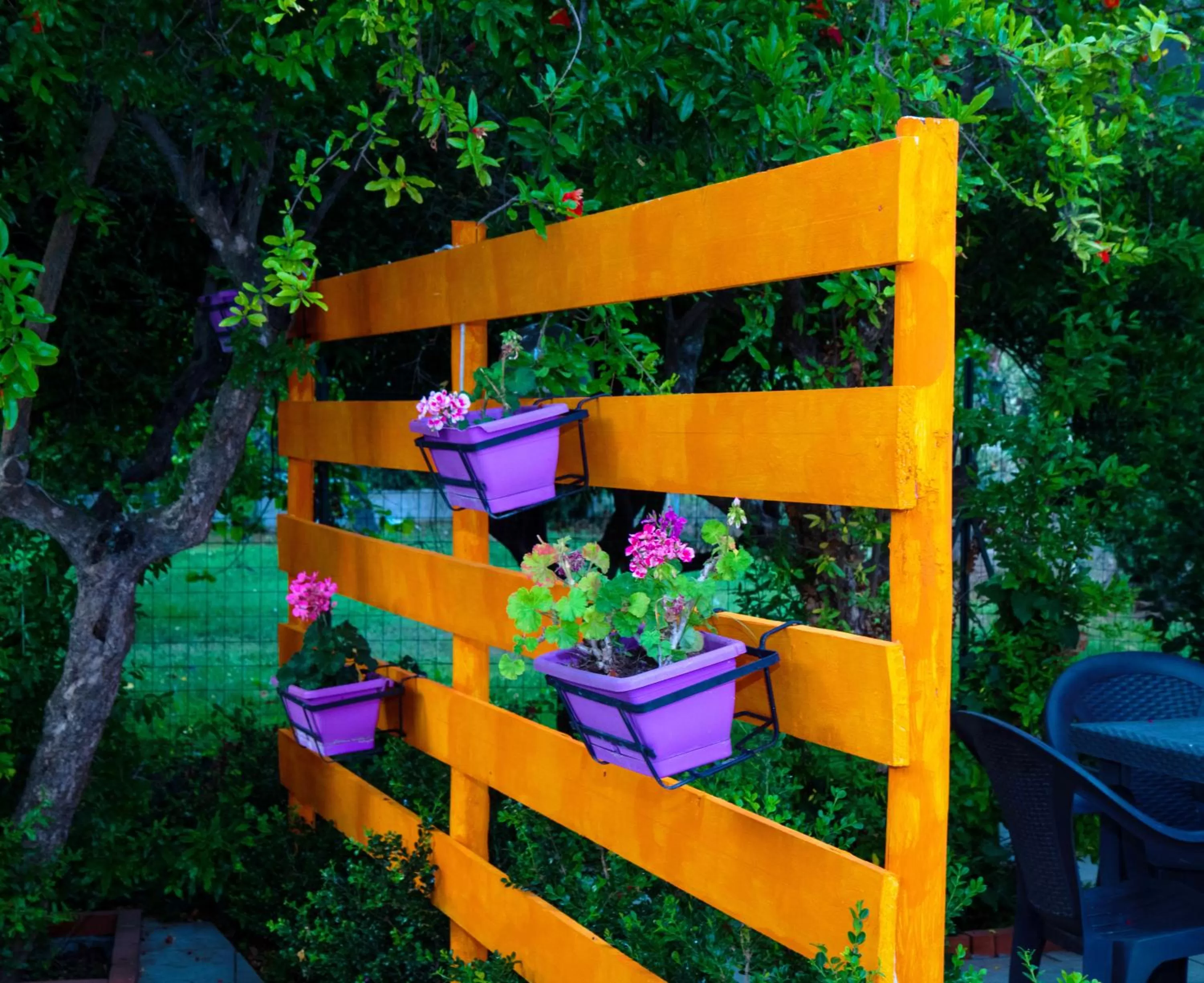 Garden in Villa Nicodemo