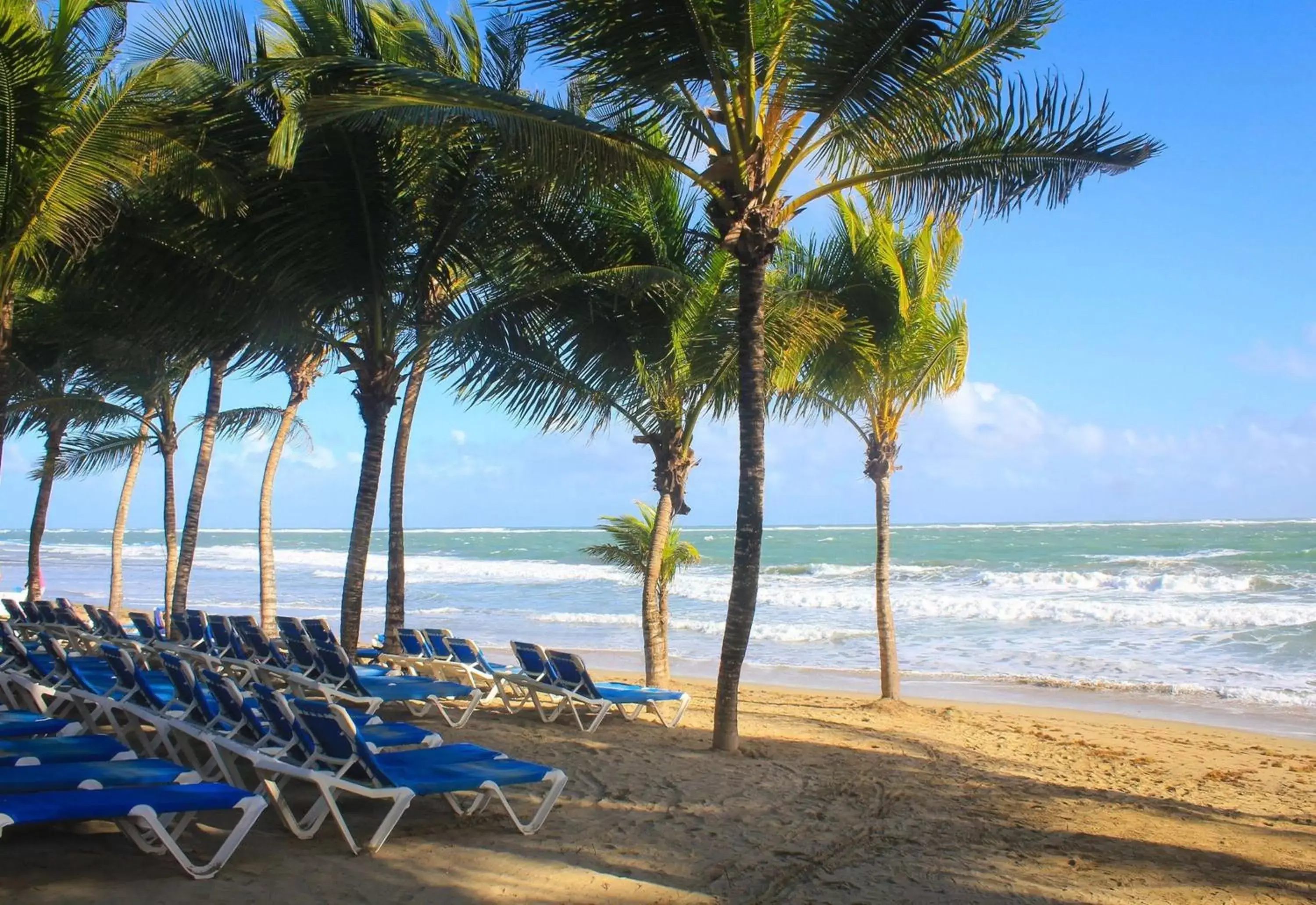 Beach in Viva Tangerine by Wyndham, A Trademark All Inclusive