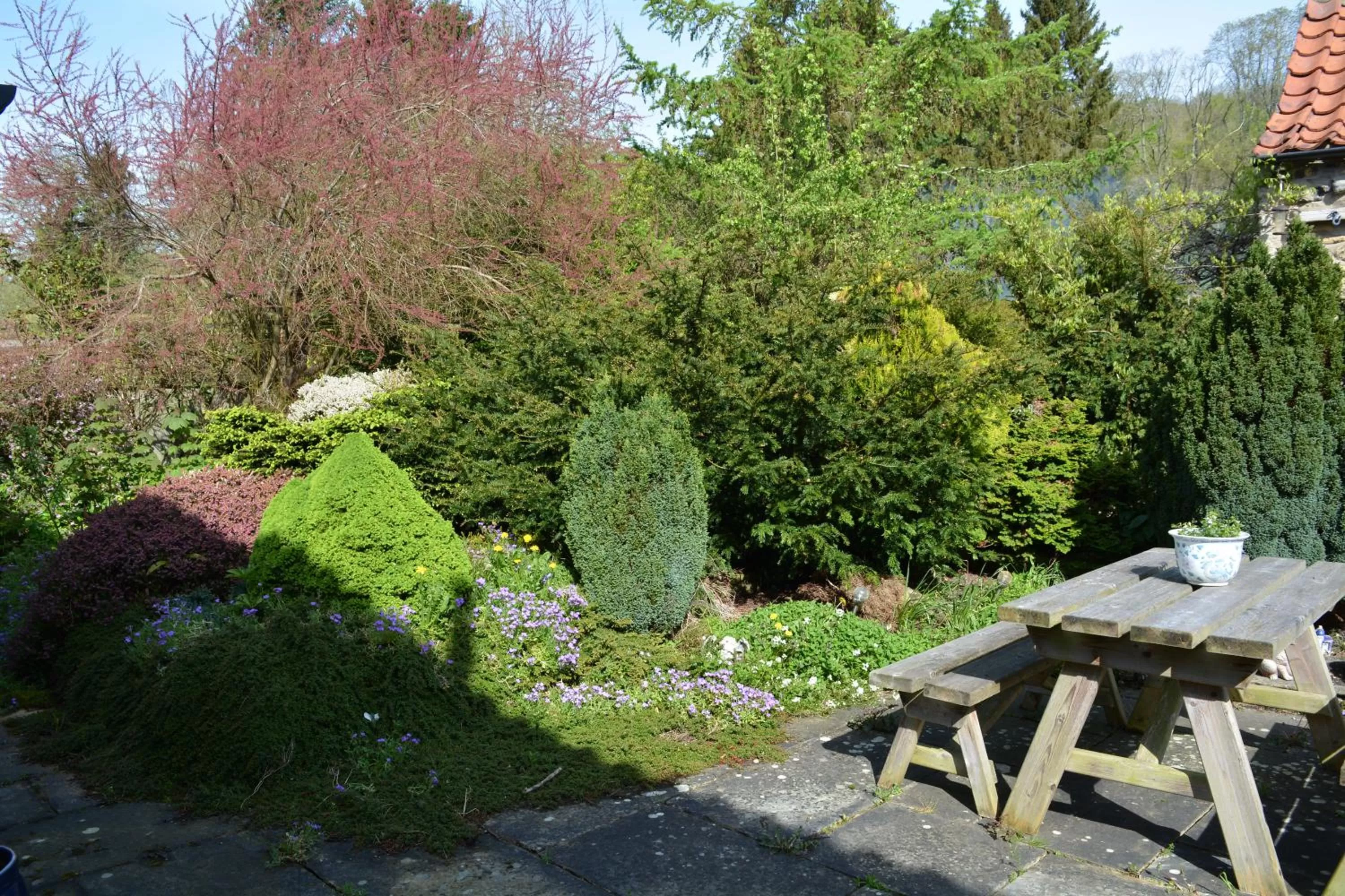 Garden in BohemianBreezeBreaks