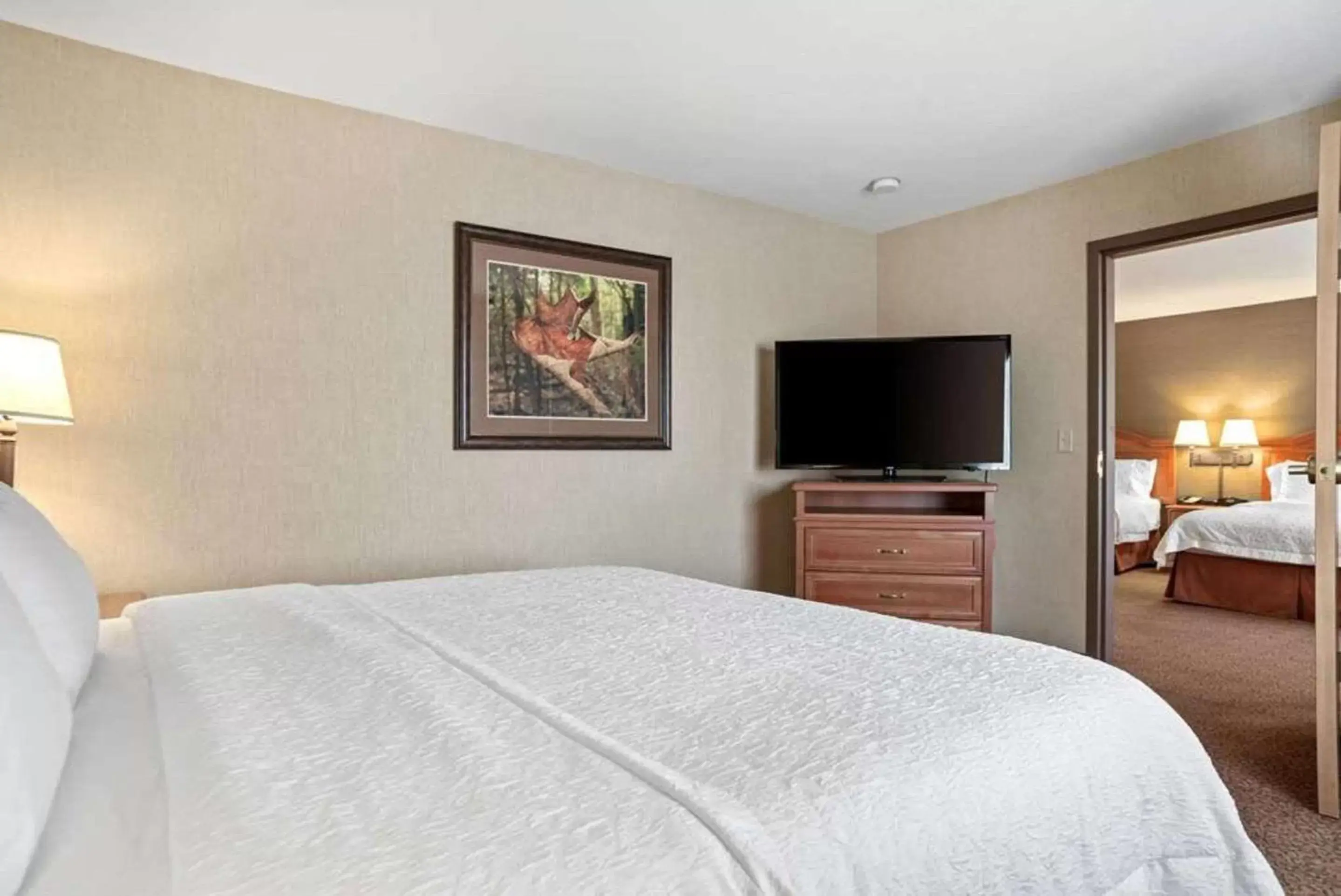 Bedroom, Bed in Comfort Inn & Suites Rapid City near Mt Rushmore