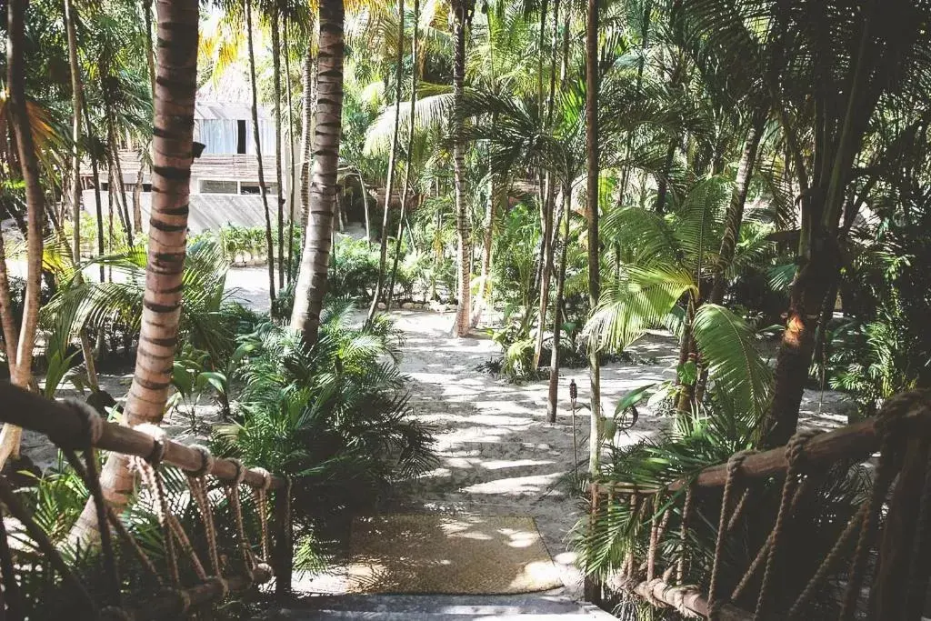 Garden in Nomade Tulum