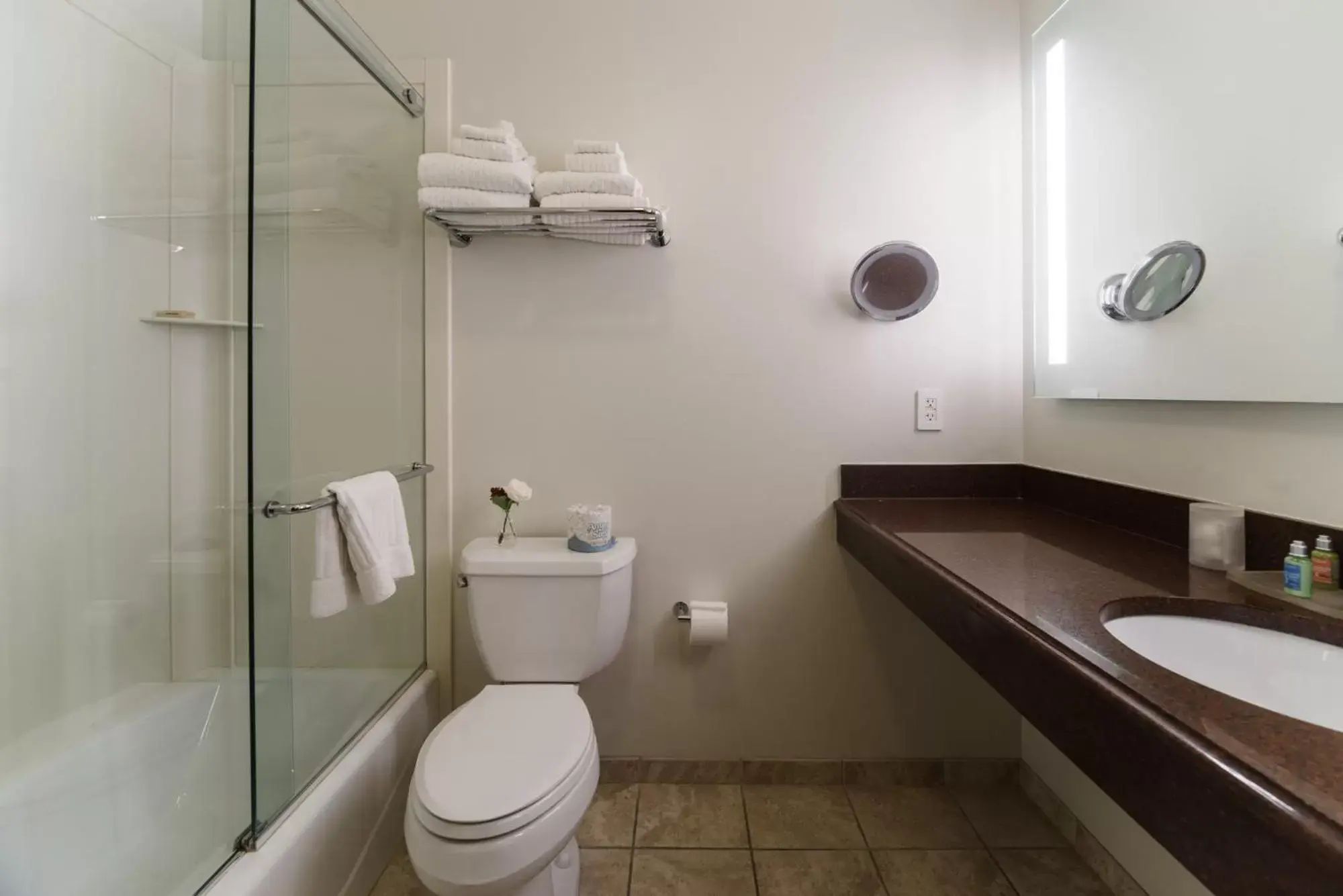 Bathroom in Chestnut Hill Hotel