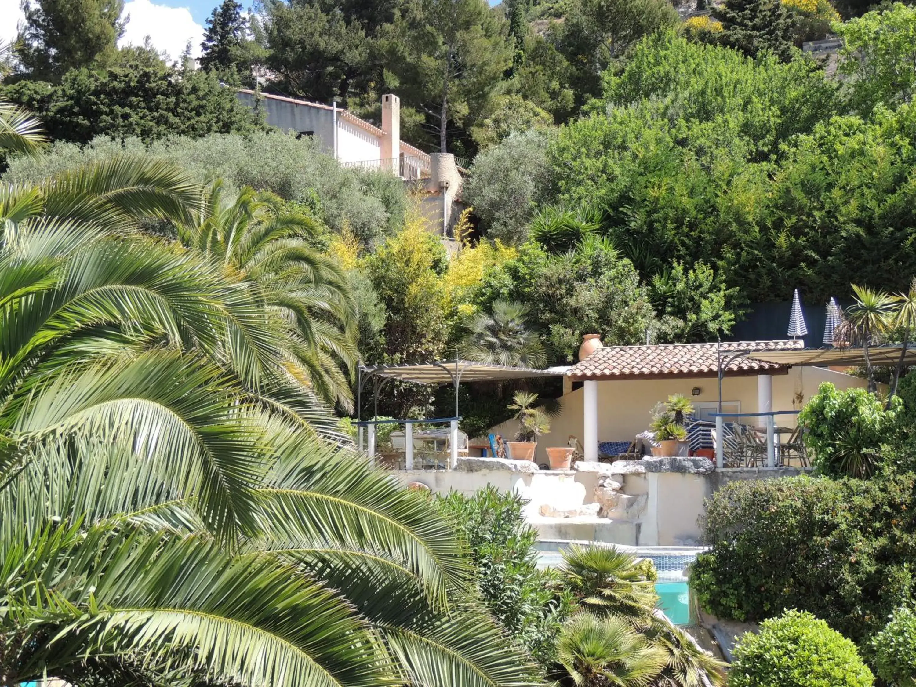 Swimming pool, Pool View in Royal Cottage