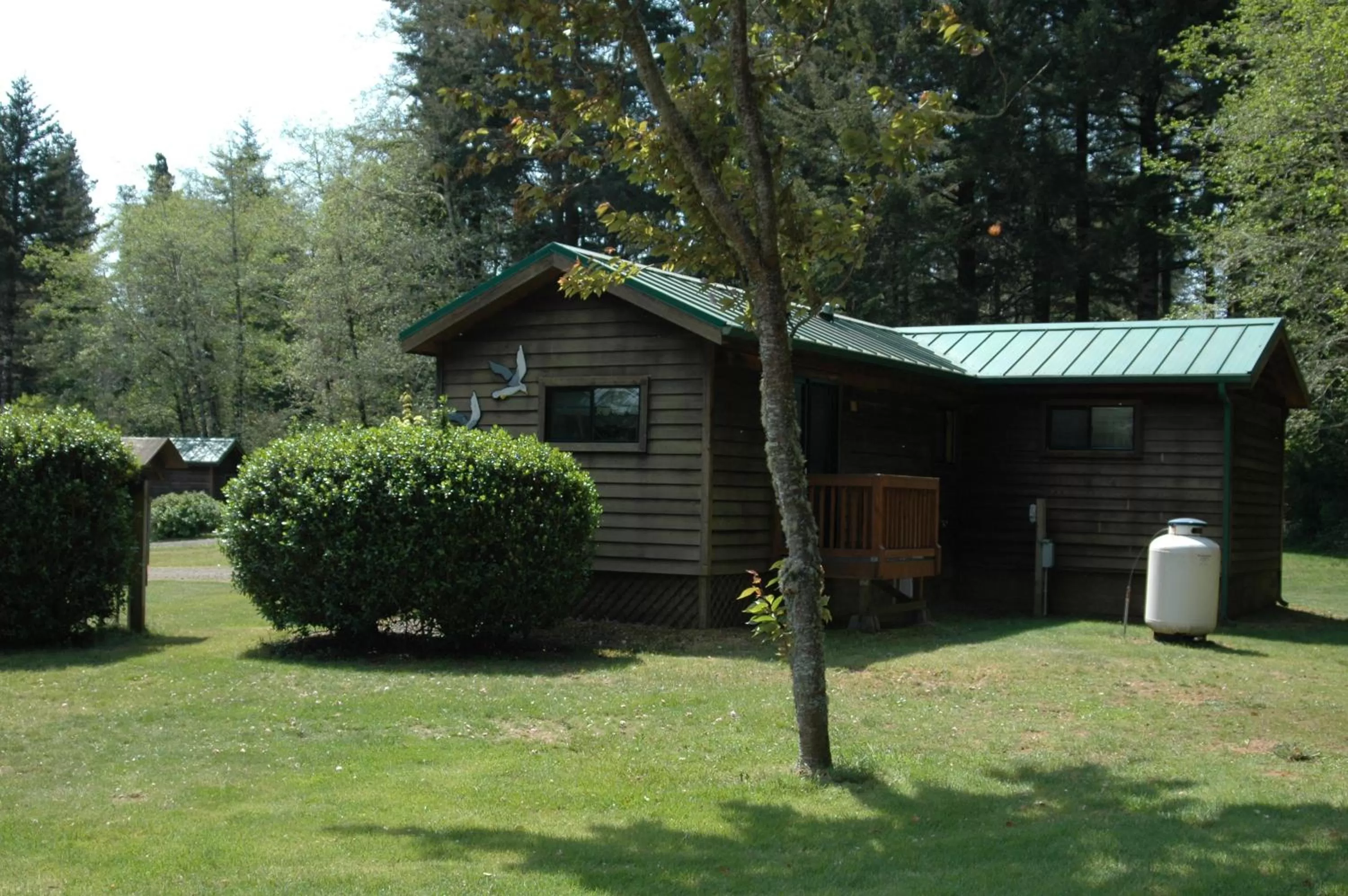 Park Motel and Cabins