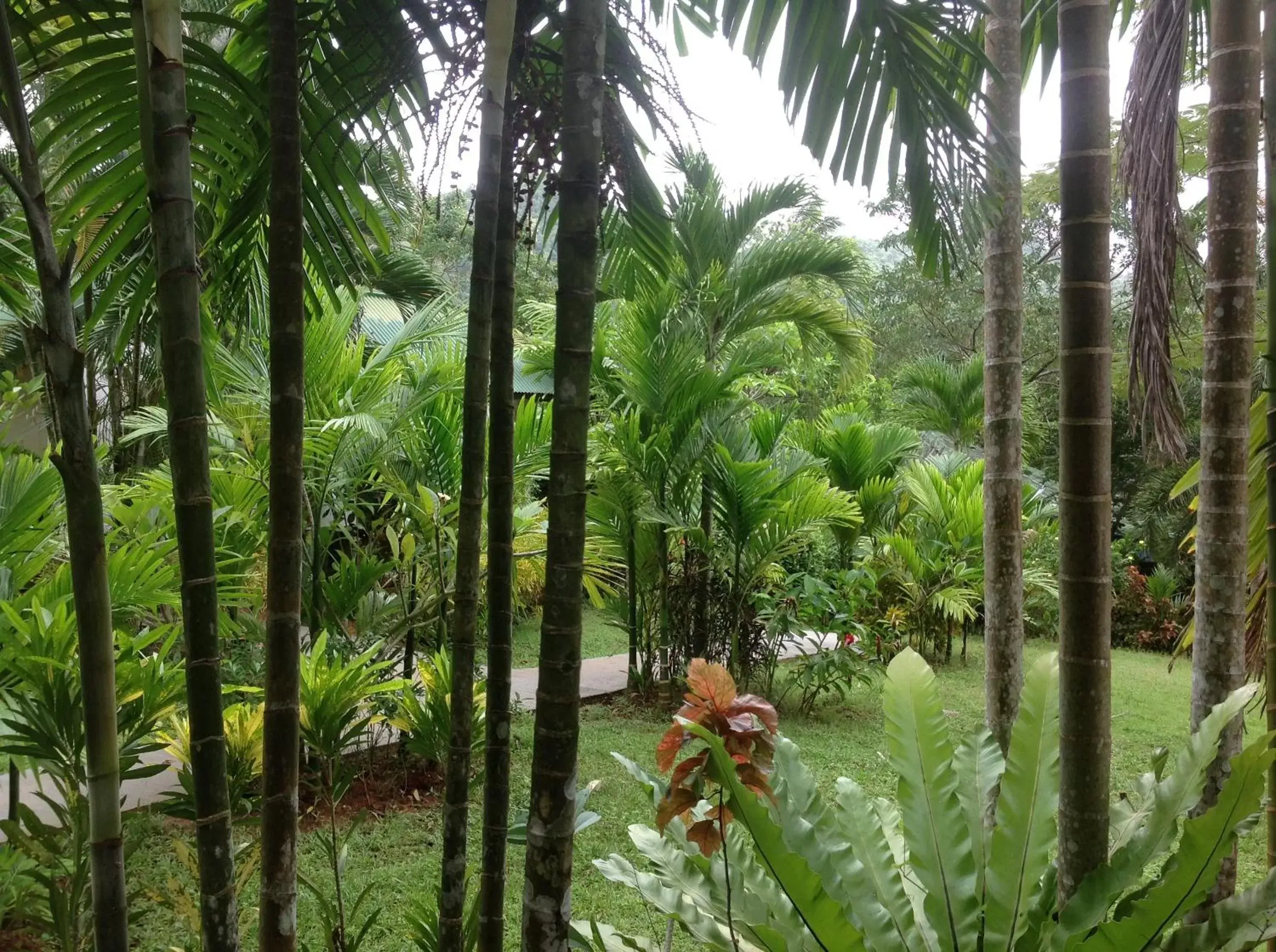 Garden in Vipa Tropical Resort