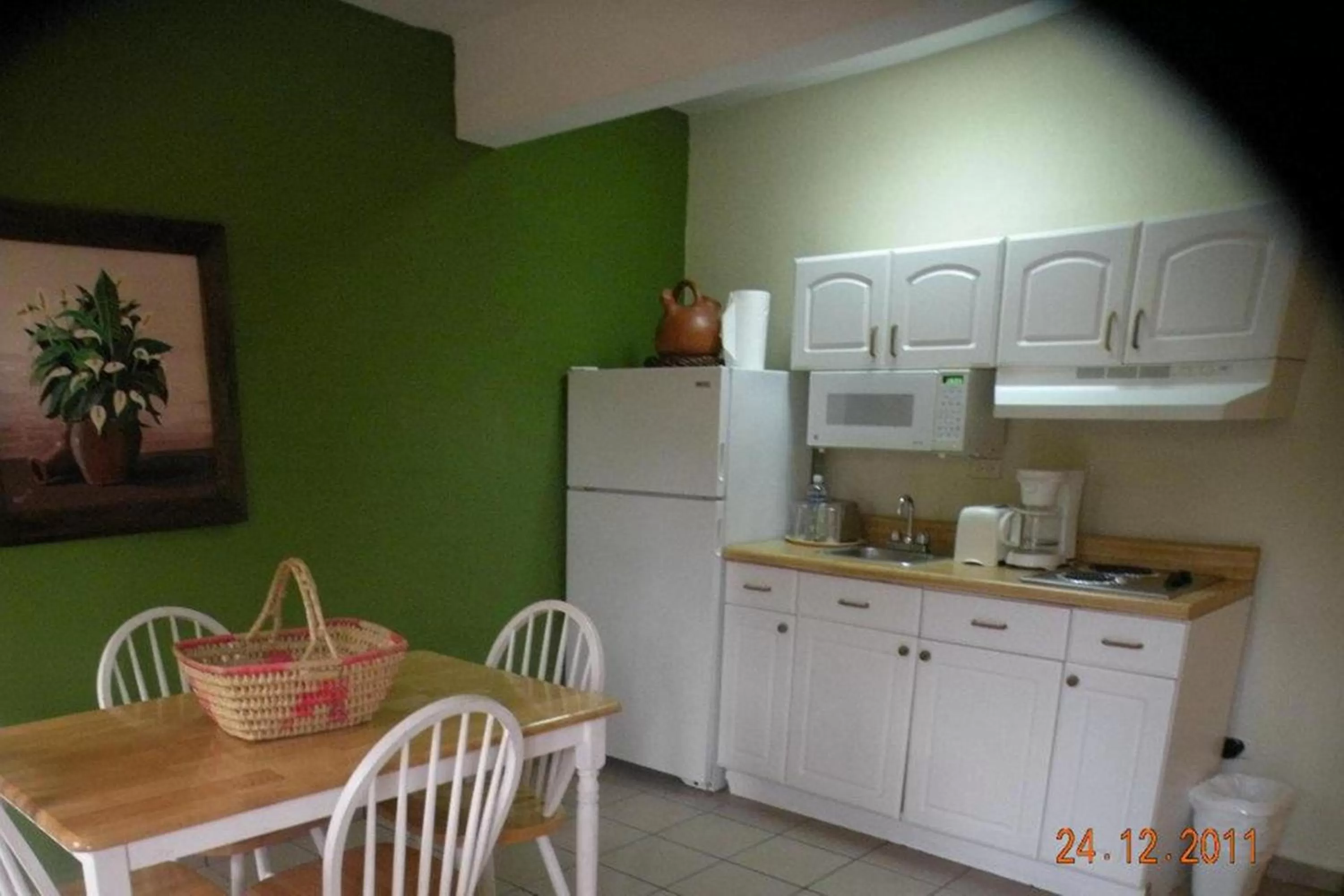Kitchen or kitchenette in Apart Hotel La Cordillera