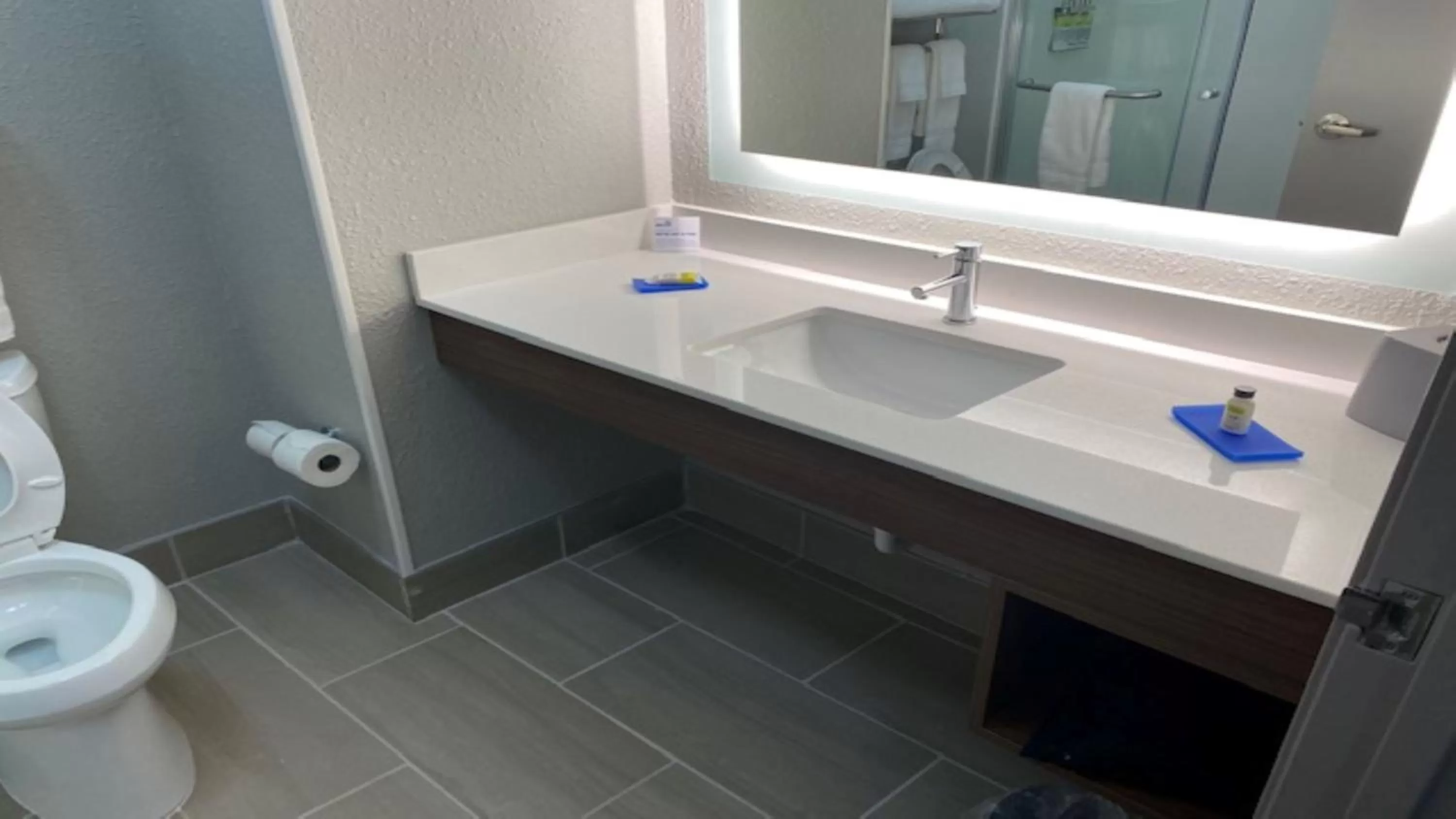 Bathroom in Holiday Inn Express & Suites - Enterprise by IHG