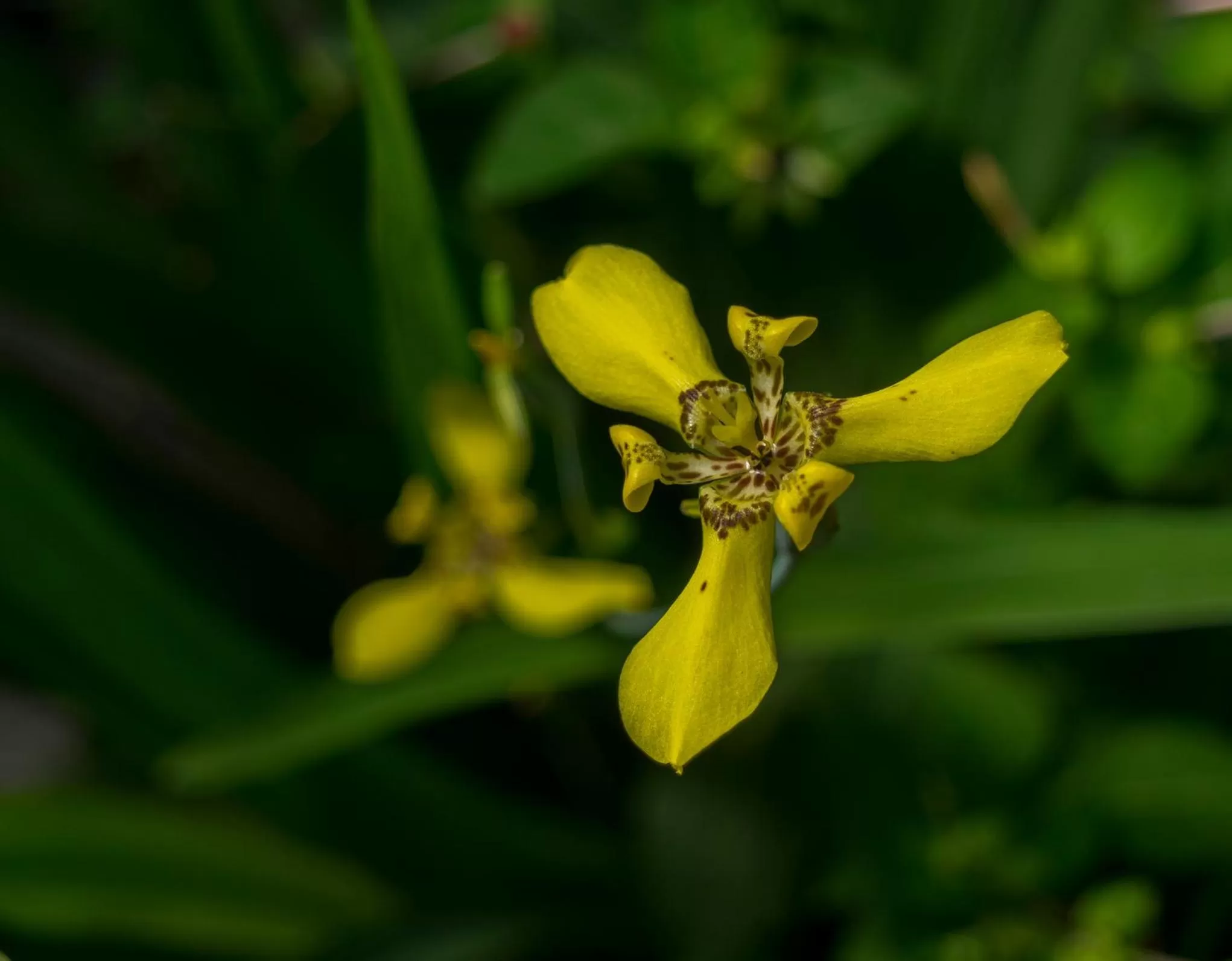 Garden in Hotel Kokoro Mineral Hot Springs
