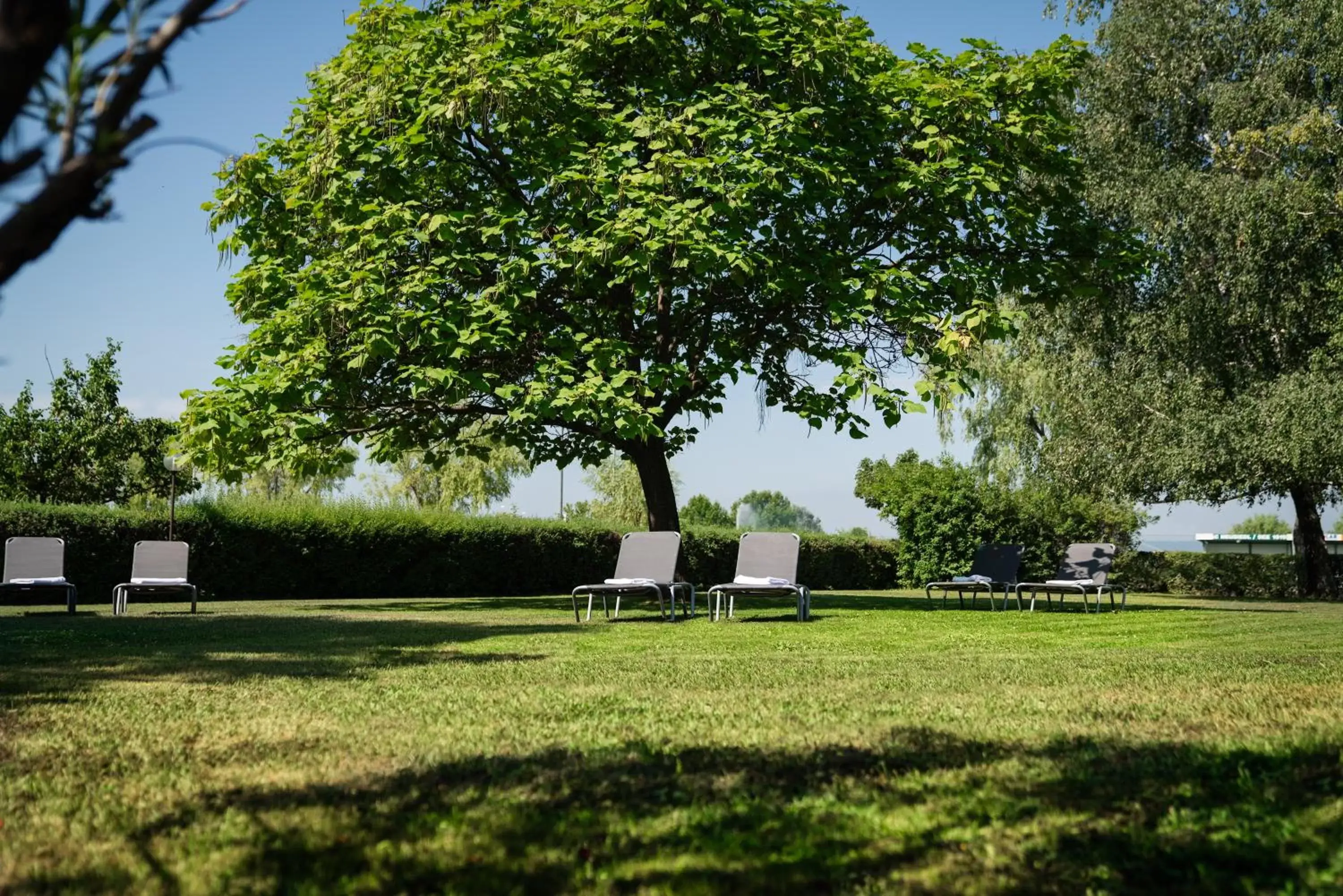 Garden in Hotel Wende