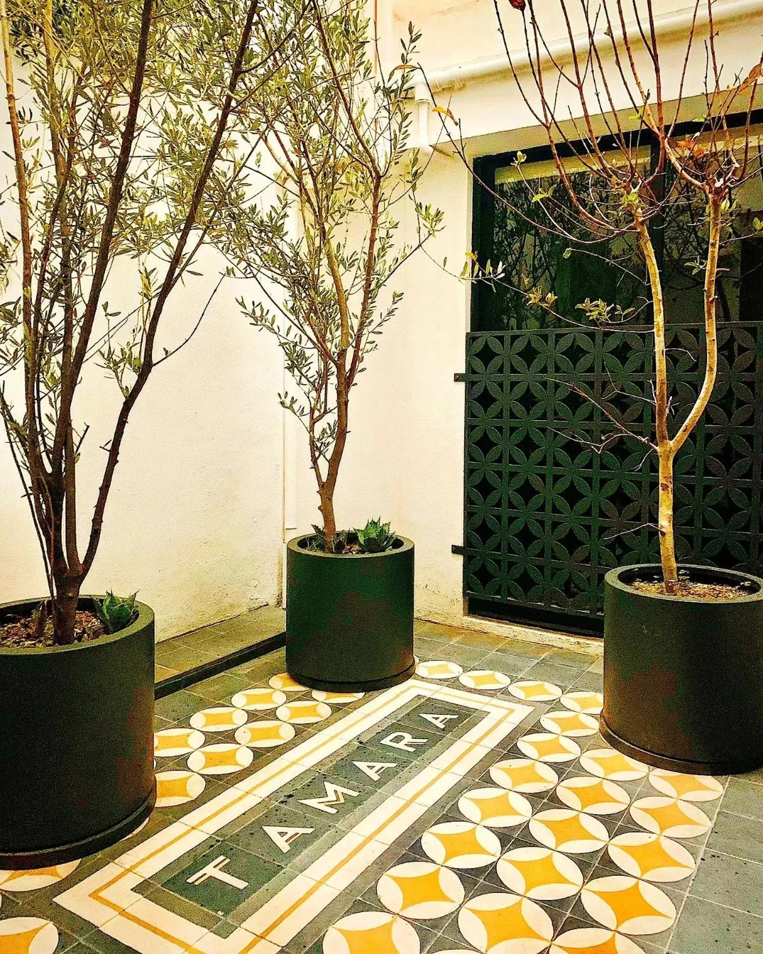 Patio in Hotel Tamara