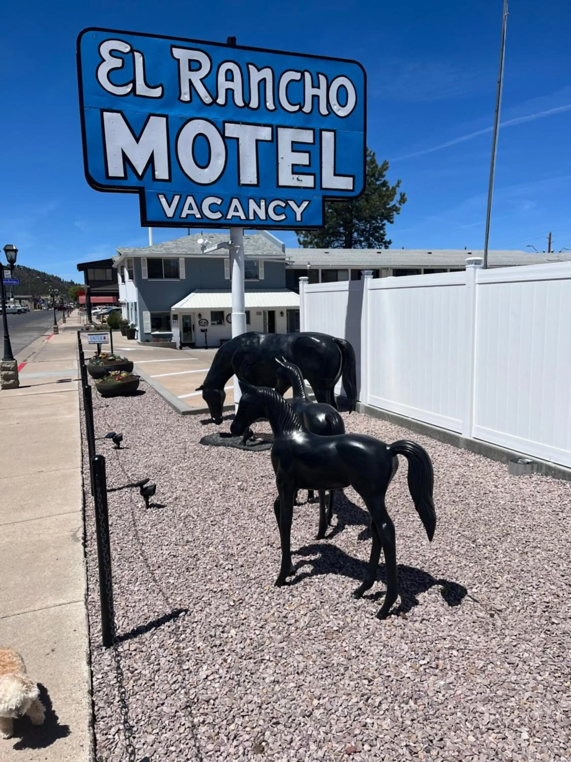 Day in El Rancho Motel