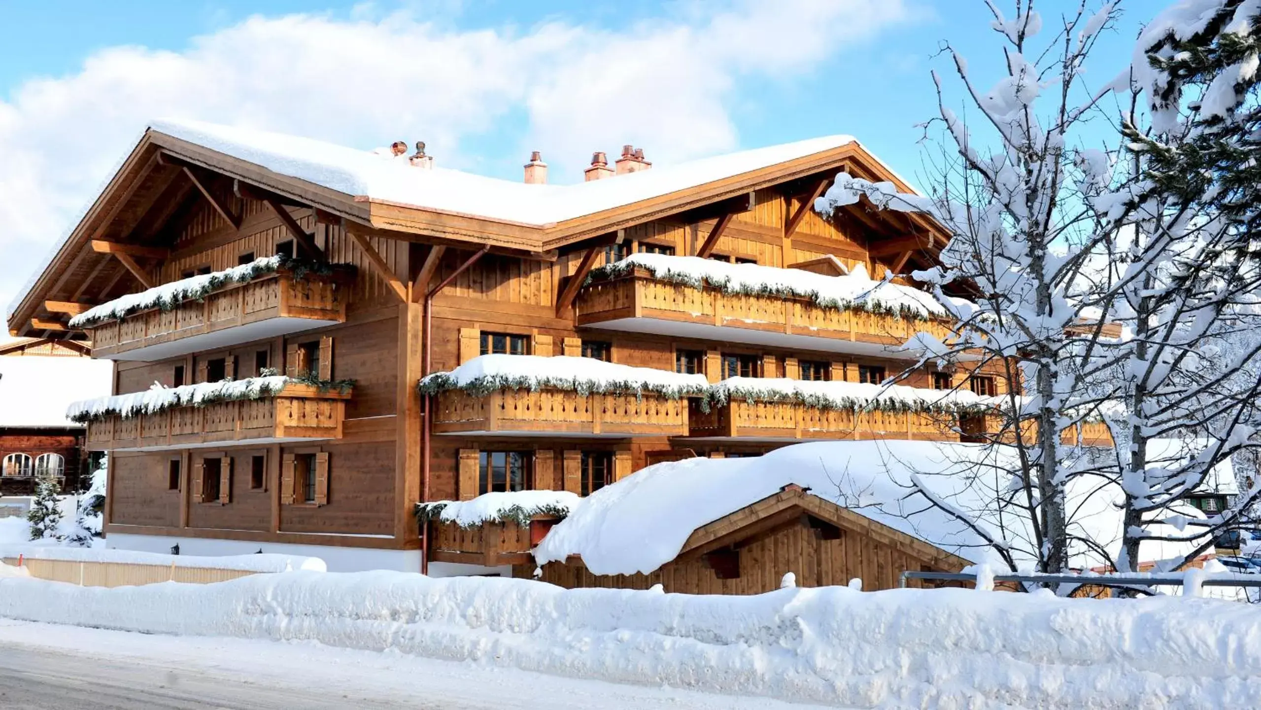 Property building, Winter in Hotel des Alpes Superieur