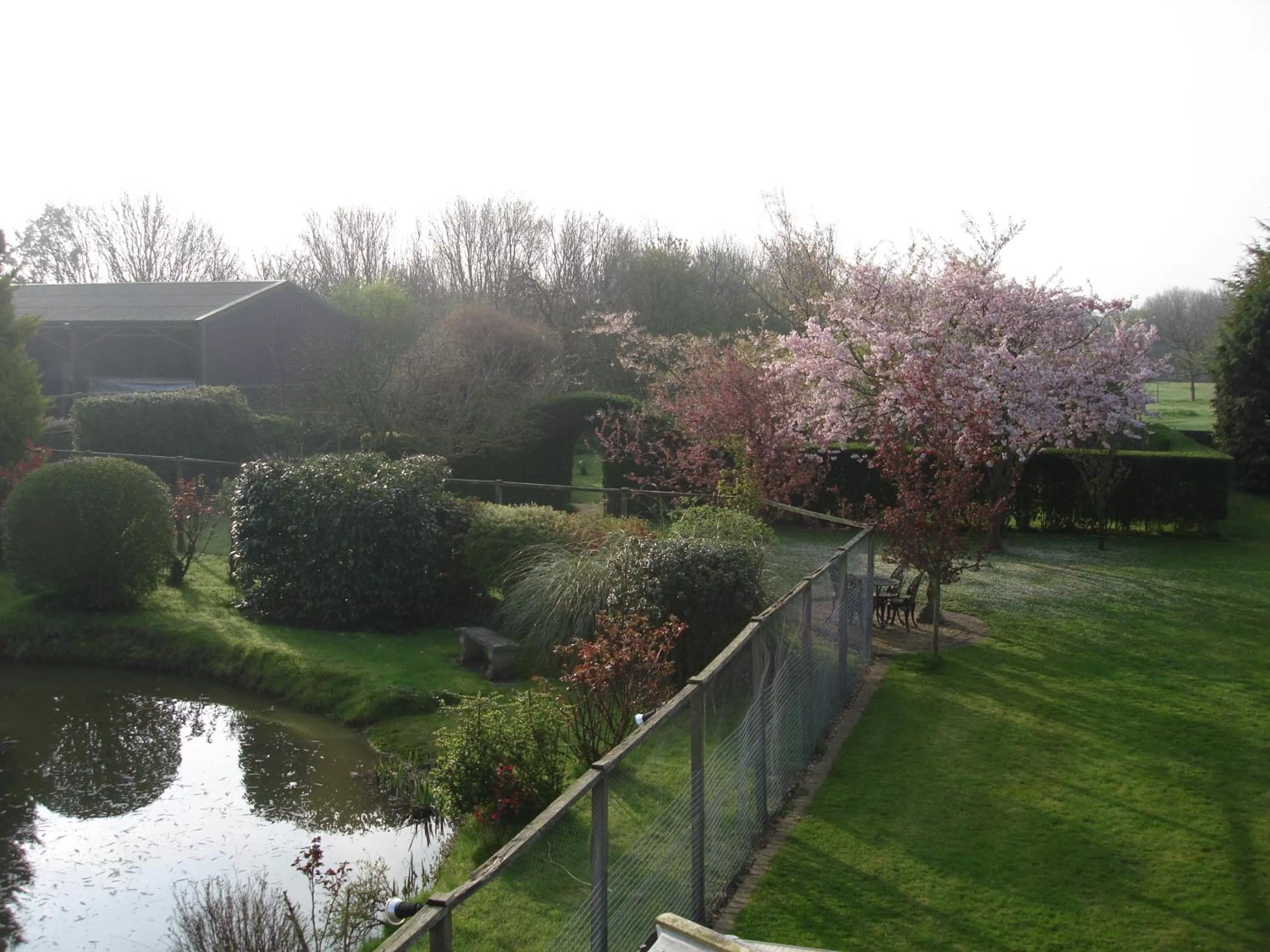Garden in Pointers Guest House