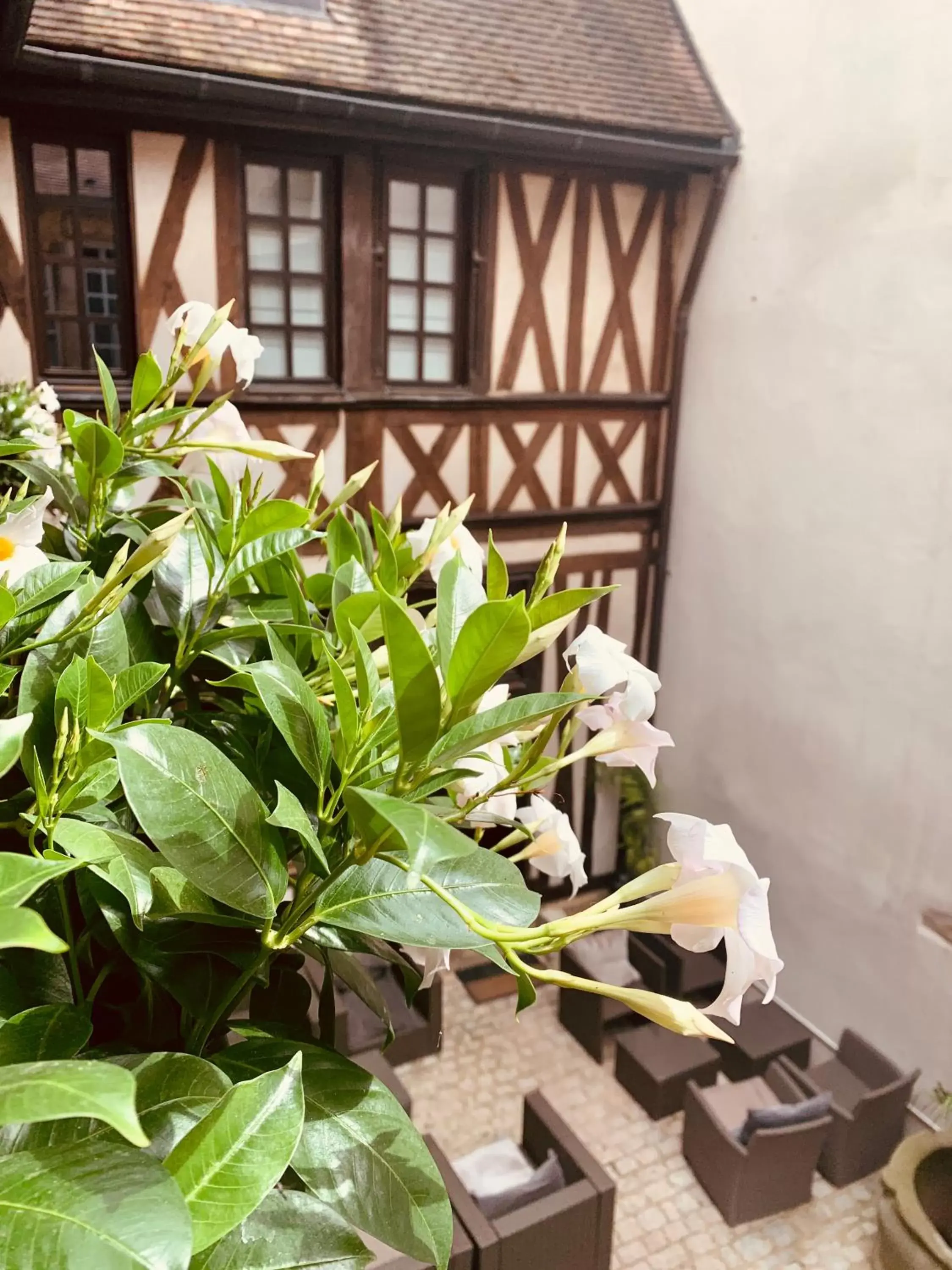 Patio in Maison Philippe Le Bon, Les Collectionneurs