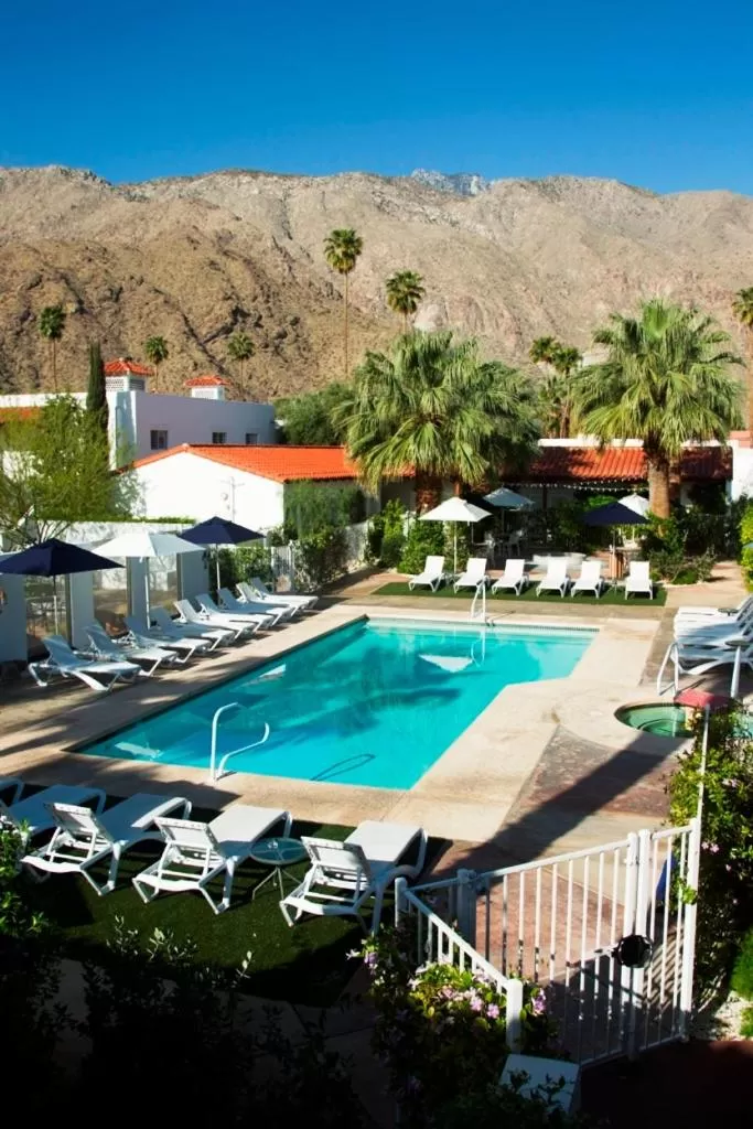 Pool view in Alcazar Palm Springs