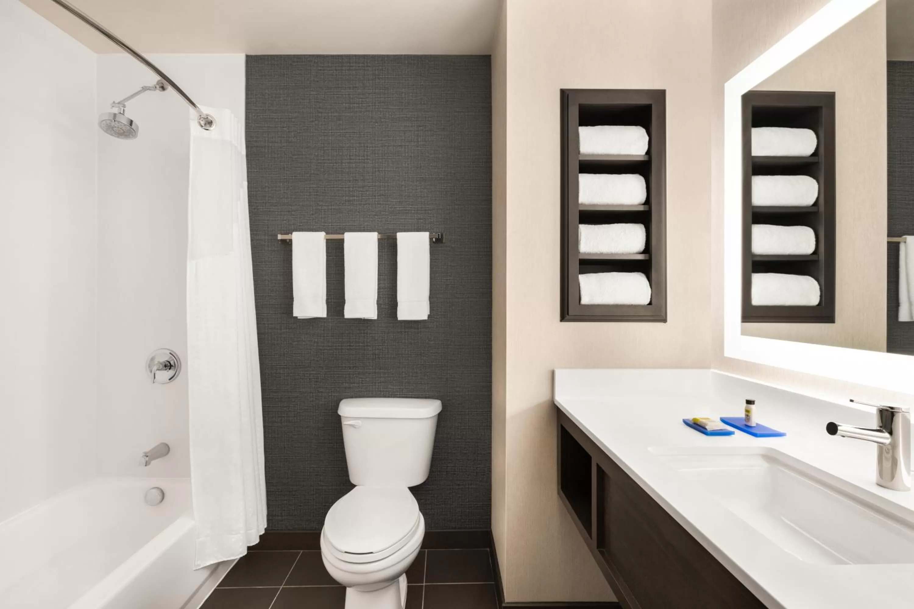 Bathroom in Holiday Inn Express & Suites Denver Airport by IHG