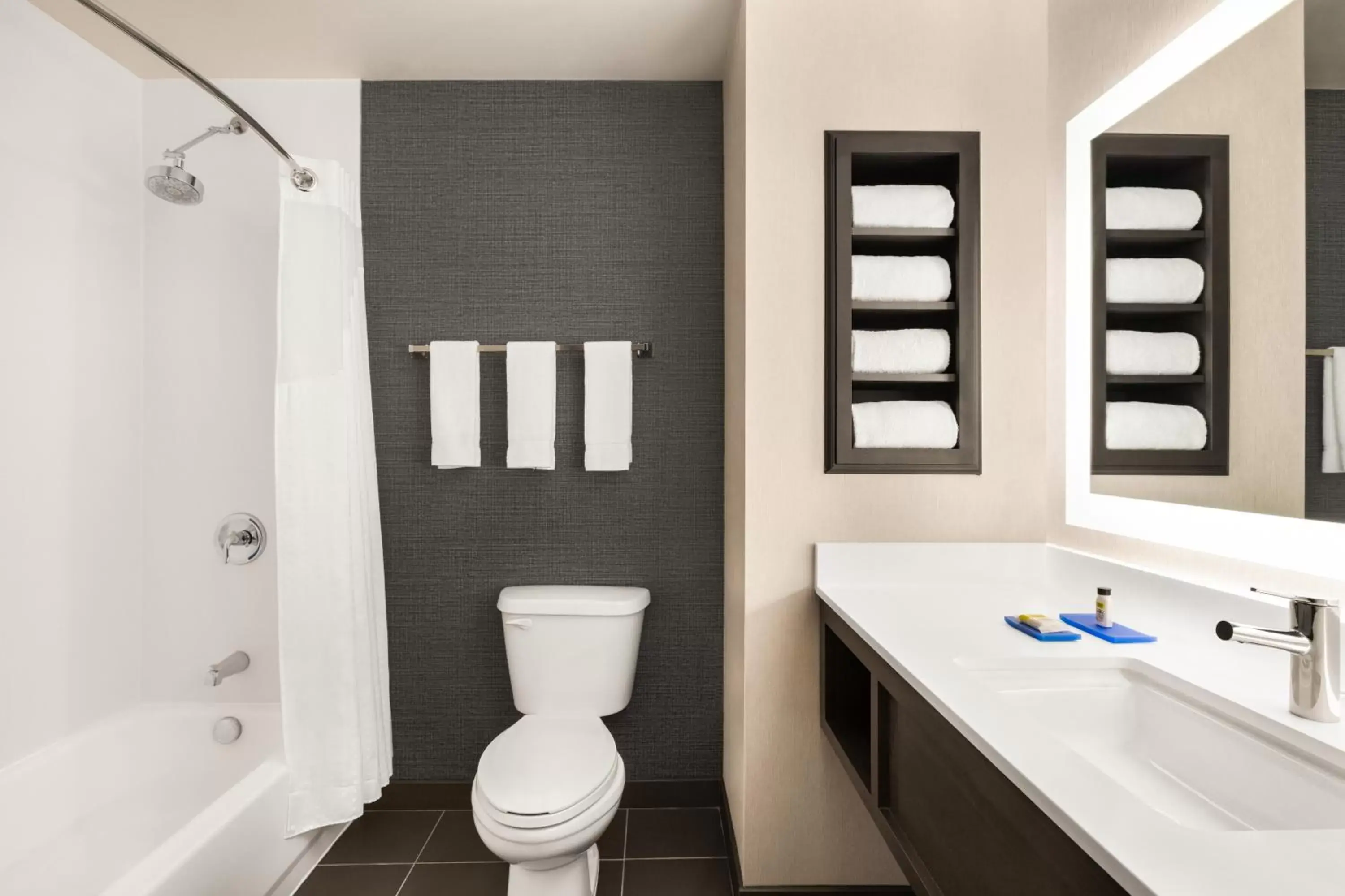 Bathroom in Holiday Inn Express & Suites Denver Airport, an IHG Hotel