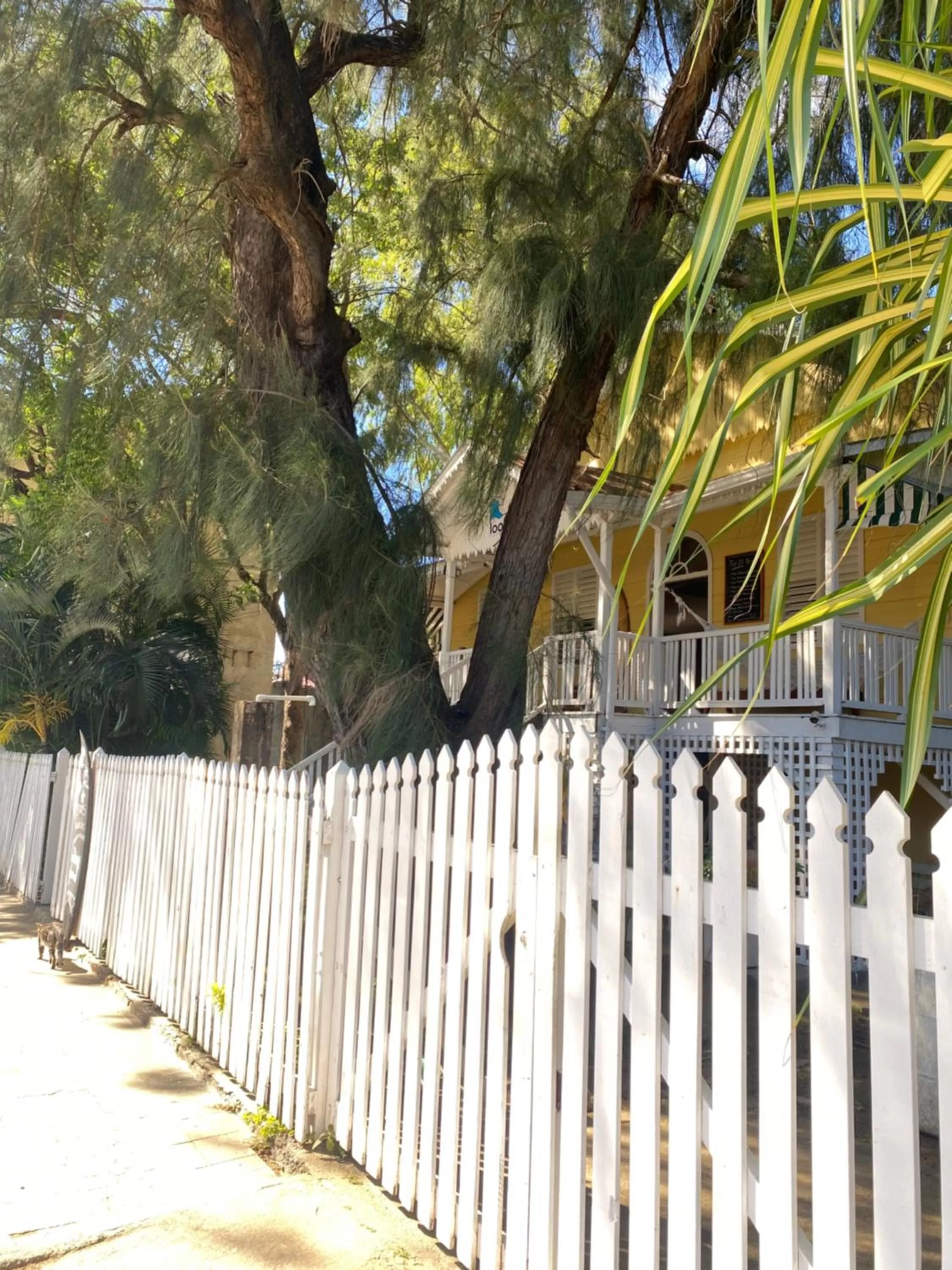 Looking Good Surf House San Juan del Sur