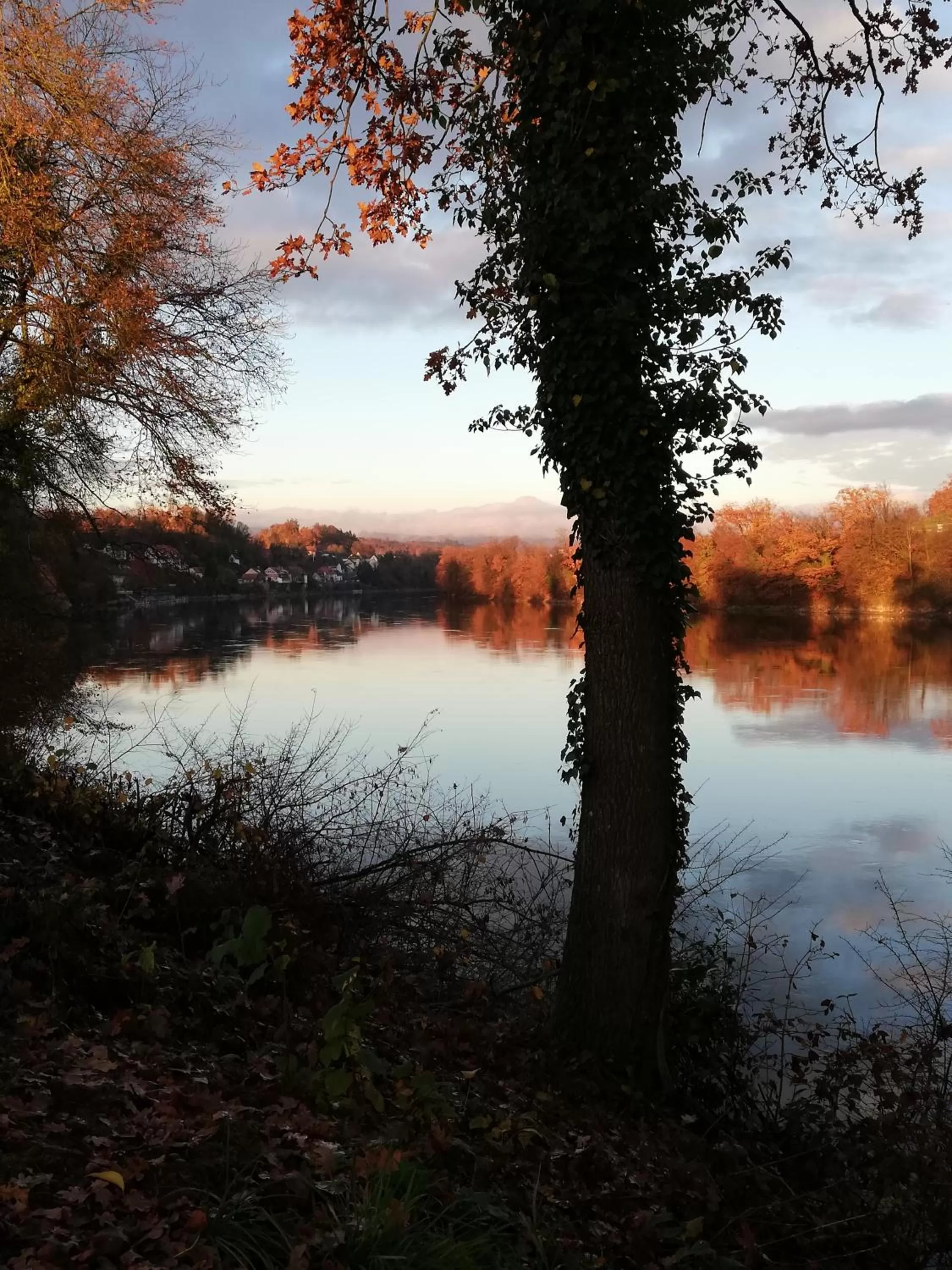 Gasthaus Hotel Kranz