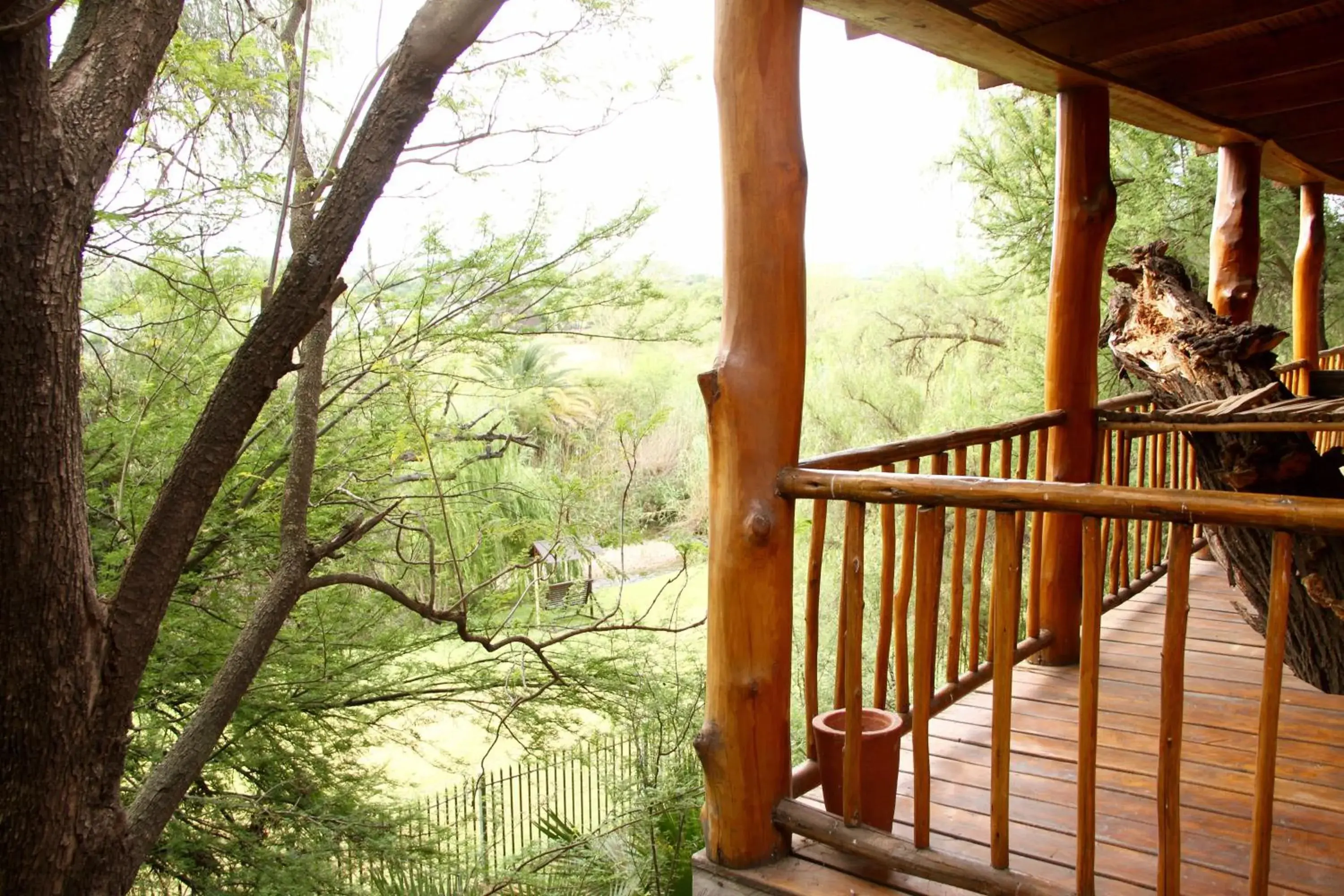 Natural landscape, Balcony/Terrace in Riverside Guest Lodge