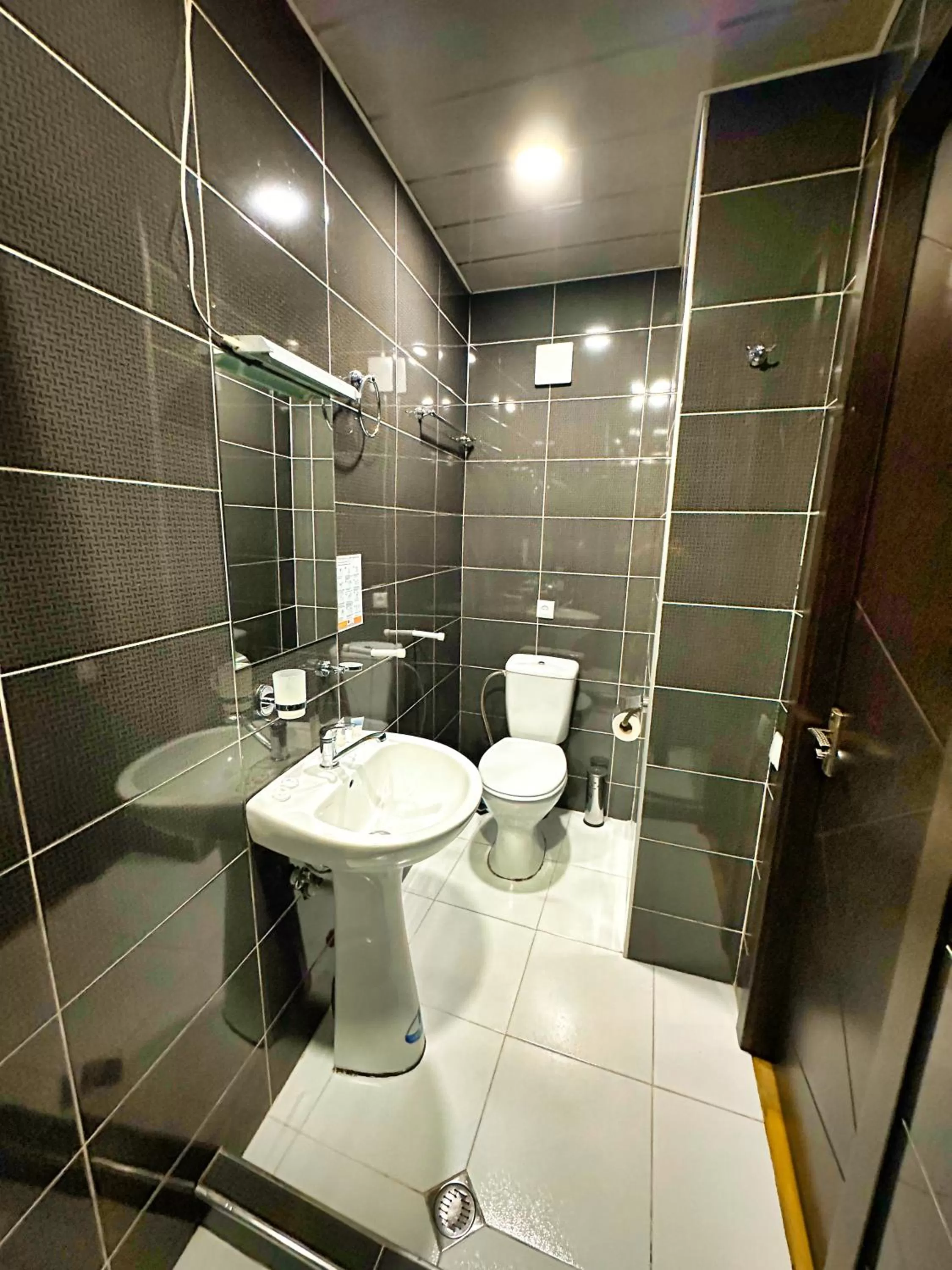 Toilet, Bathroom in Metekhi View Hotel