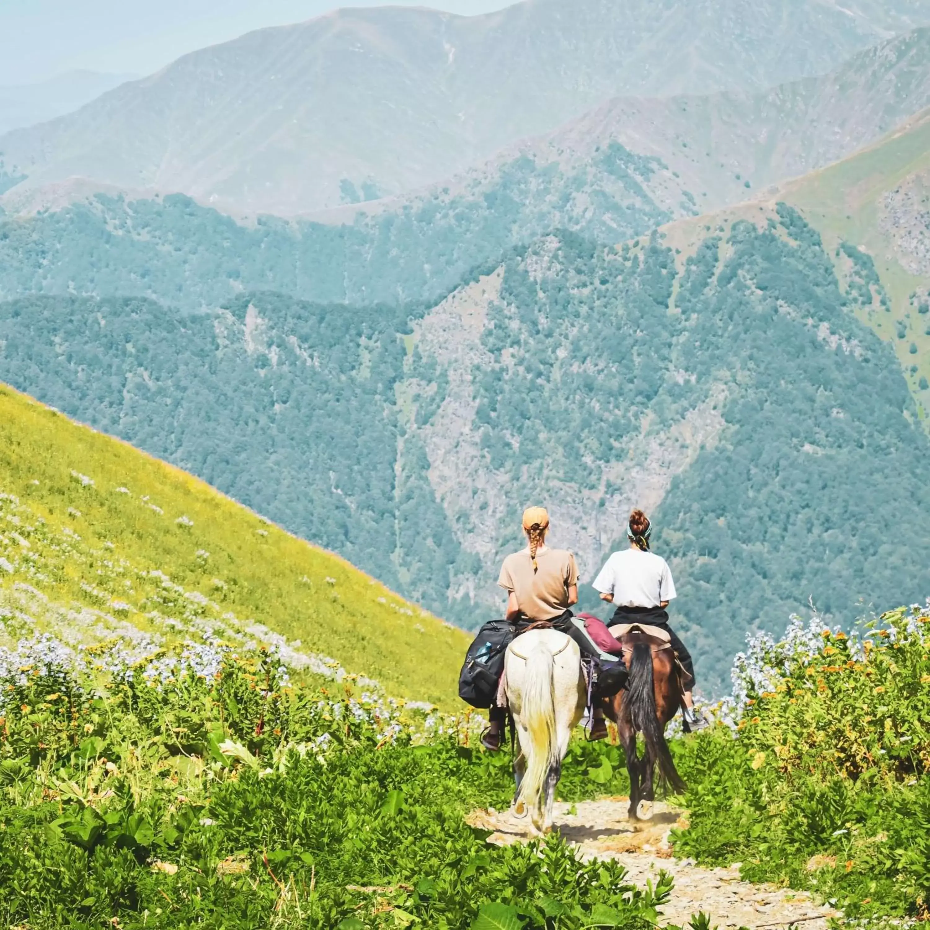 Nearby landmark, Horseback Riding in Tsinandali Estate, A Radisson Collection Hotel