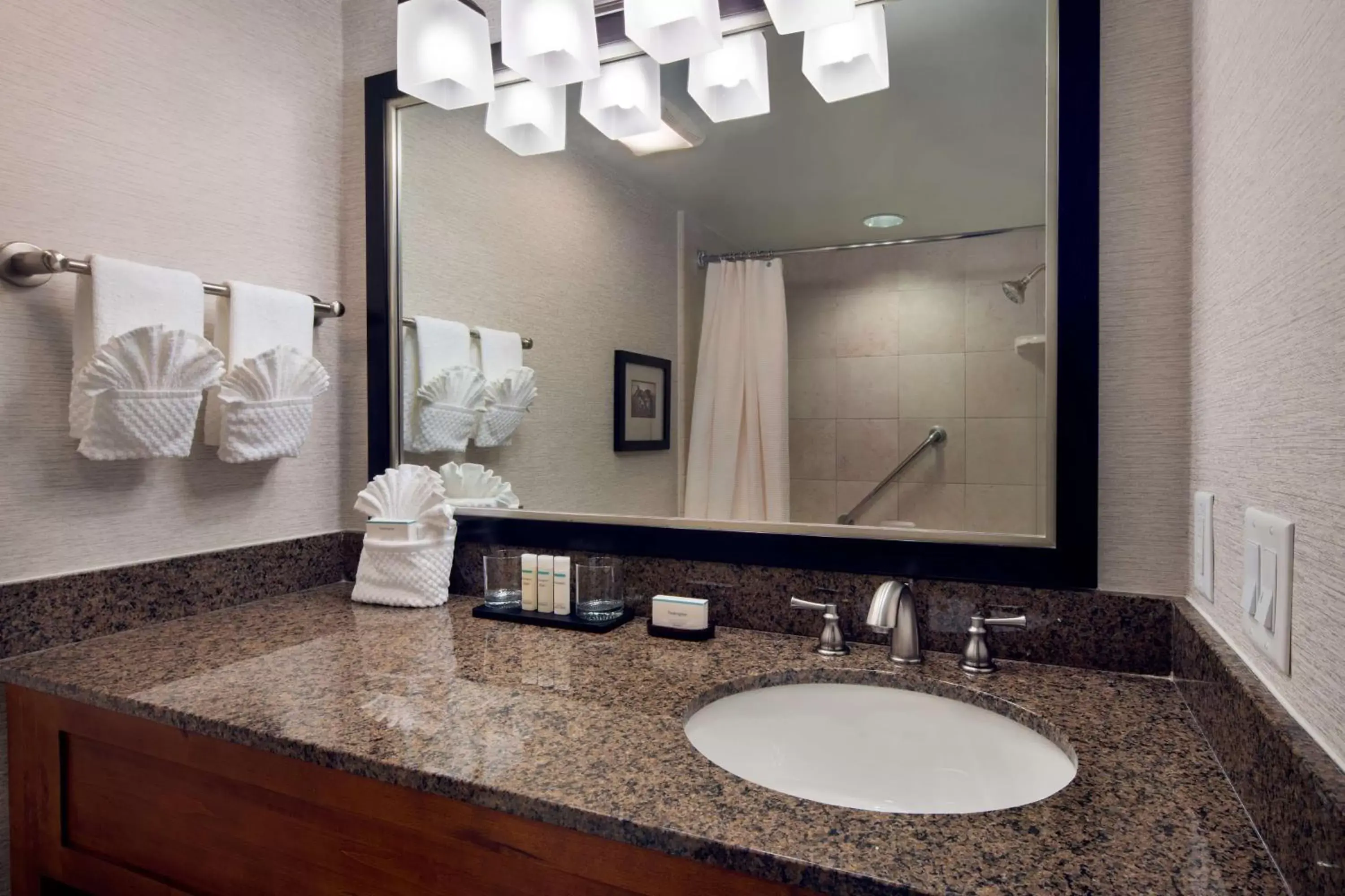 Bathroom in Embassy Suites by Hilton Austin Central