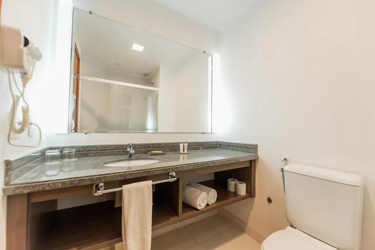 Toilet in Ibis Styles Campinas Alphaville