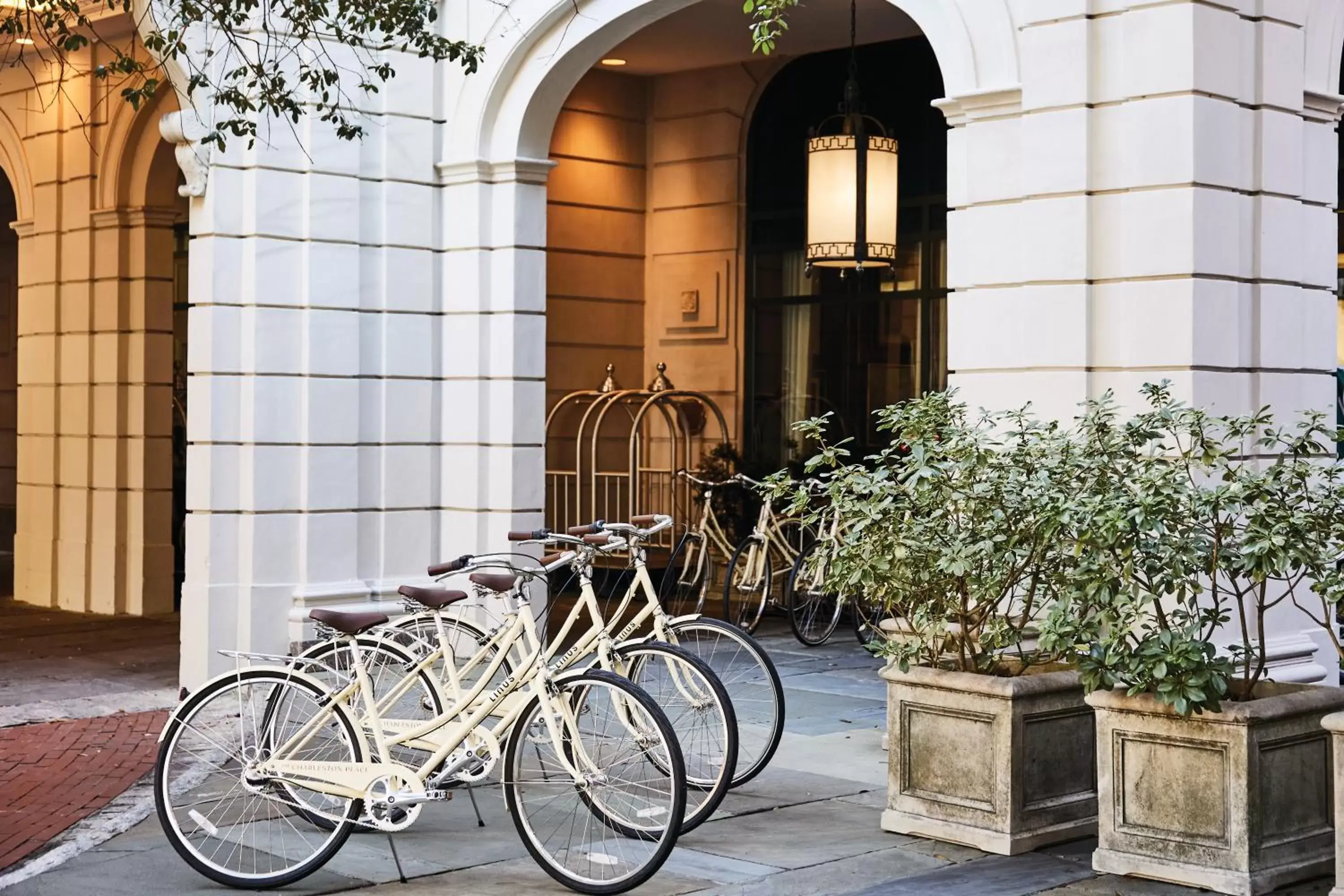 Cycling in The Charleston Place