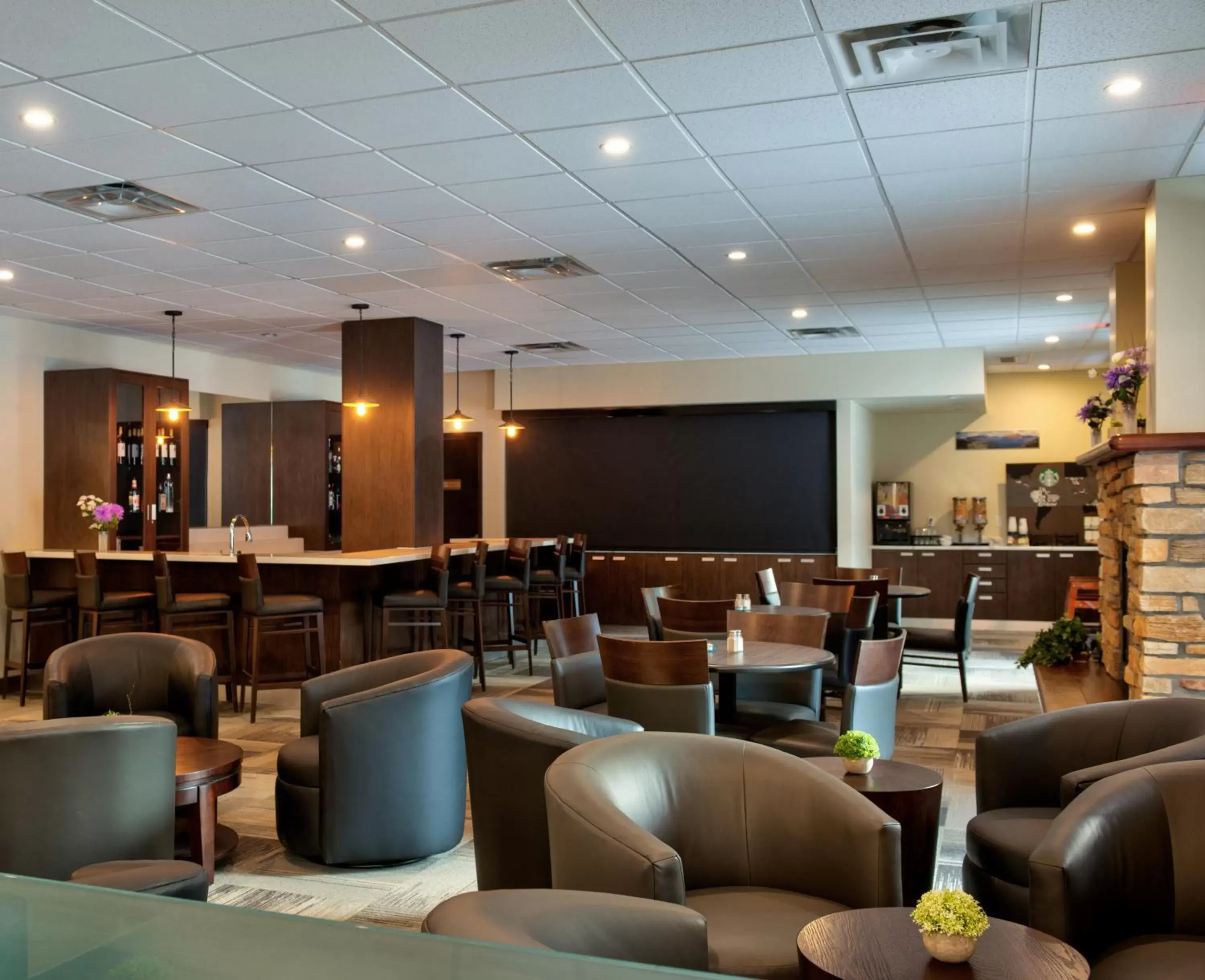 Restaurant/places to eat, Lounge/Bar in Clearwater Suite Hotel