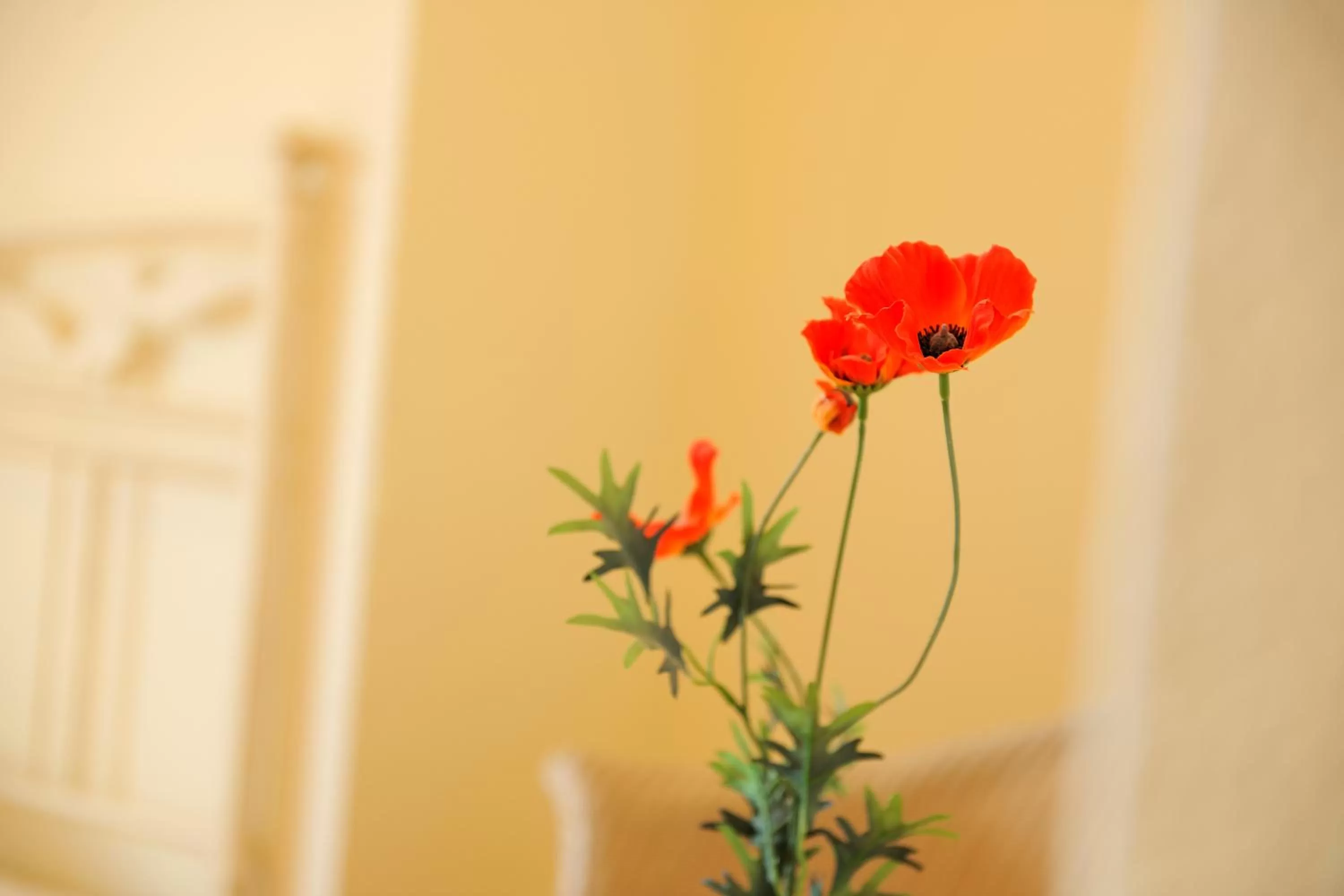 Decorative detail in Werkhof Hotel