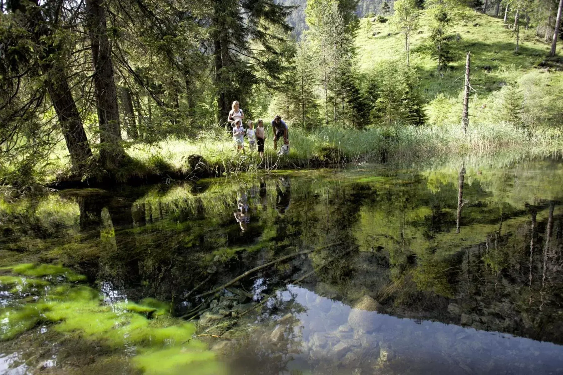 Hiking, Natural Landscape in Sporthotel Schönruh