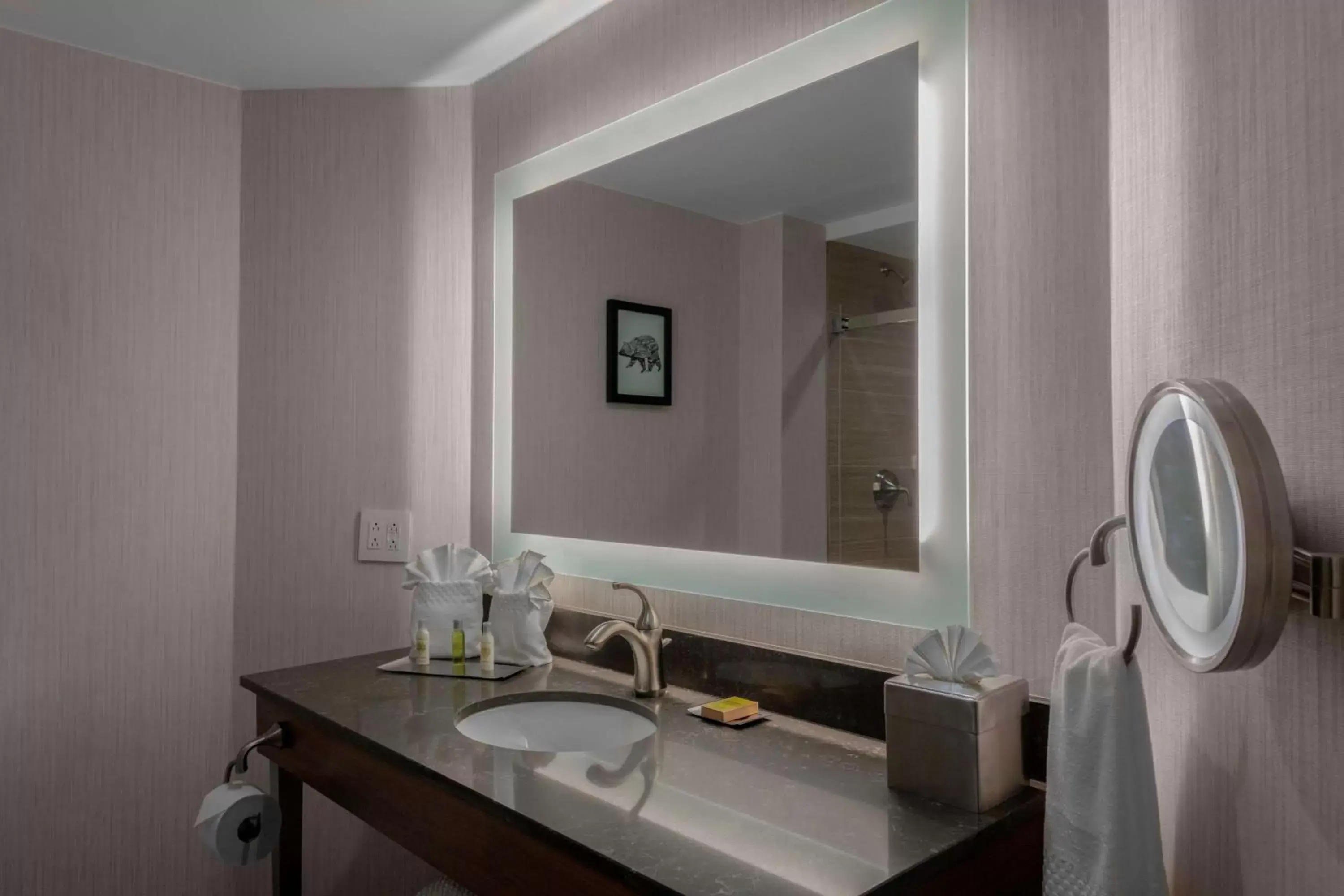 Bathroom in DoubleTree by Hilton Hotel Burlington Vermont