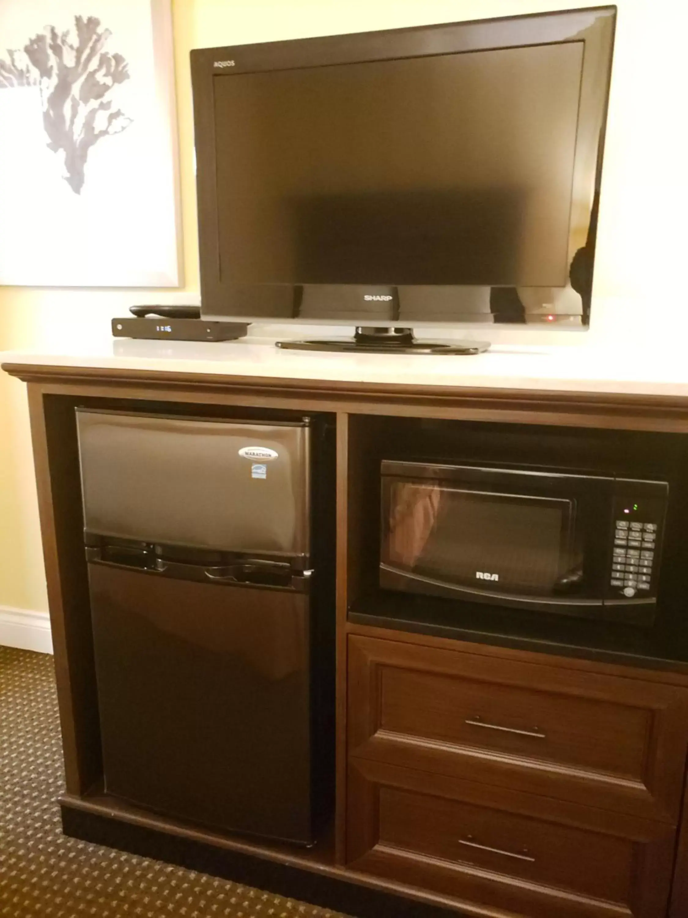 TV/Entertainment Center in Arbutus Inn