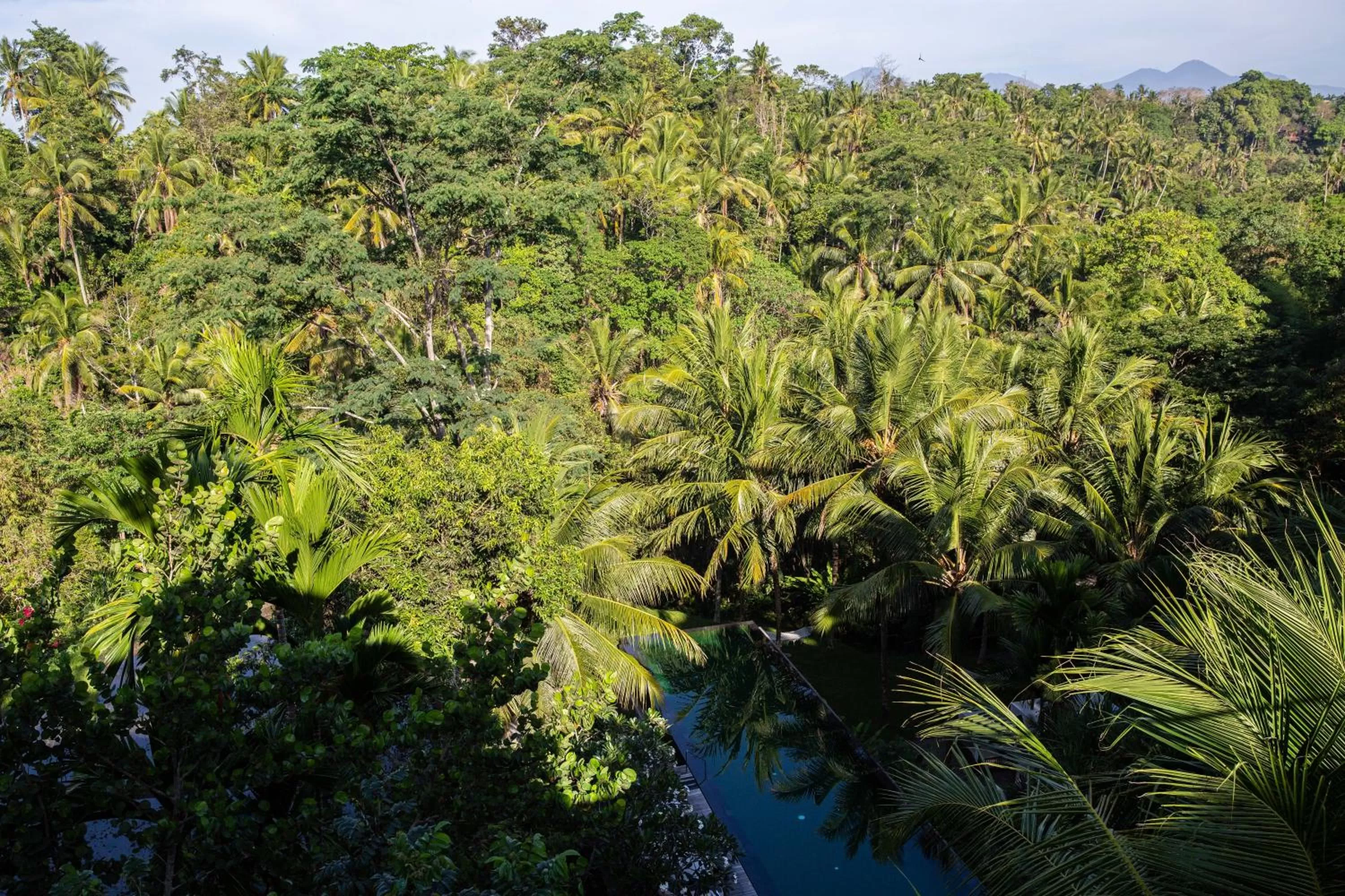 Pool view in Komaneka at Bisma Ubud