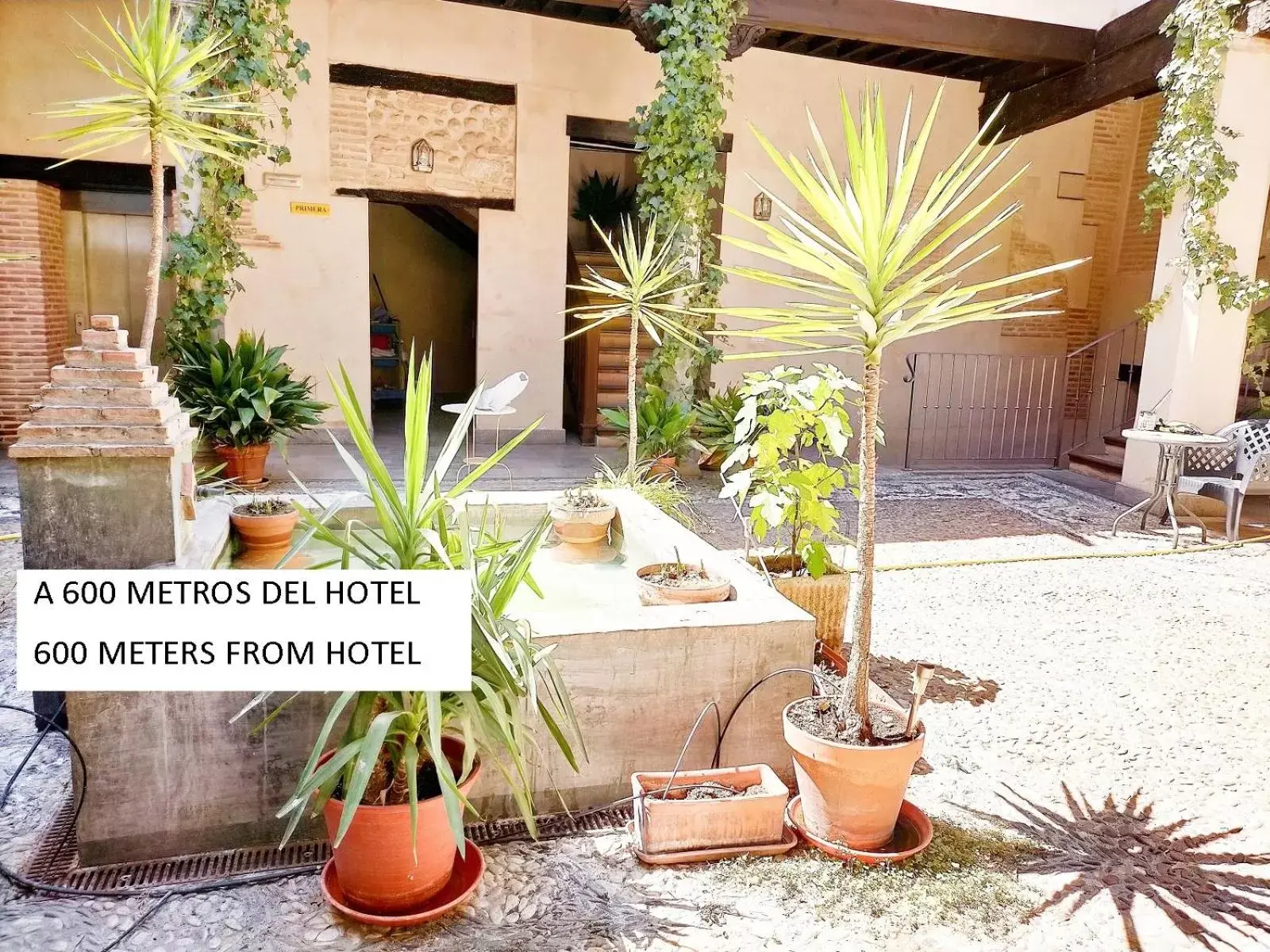 Patio in Abadía Hotel