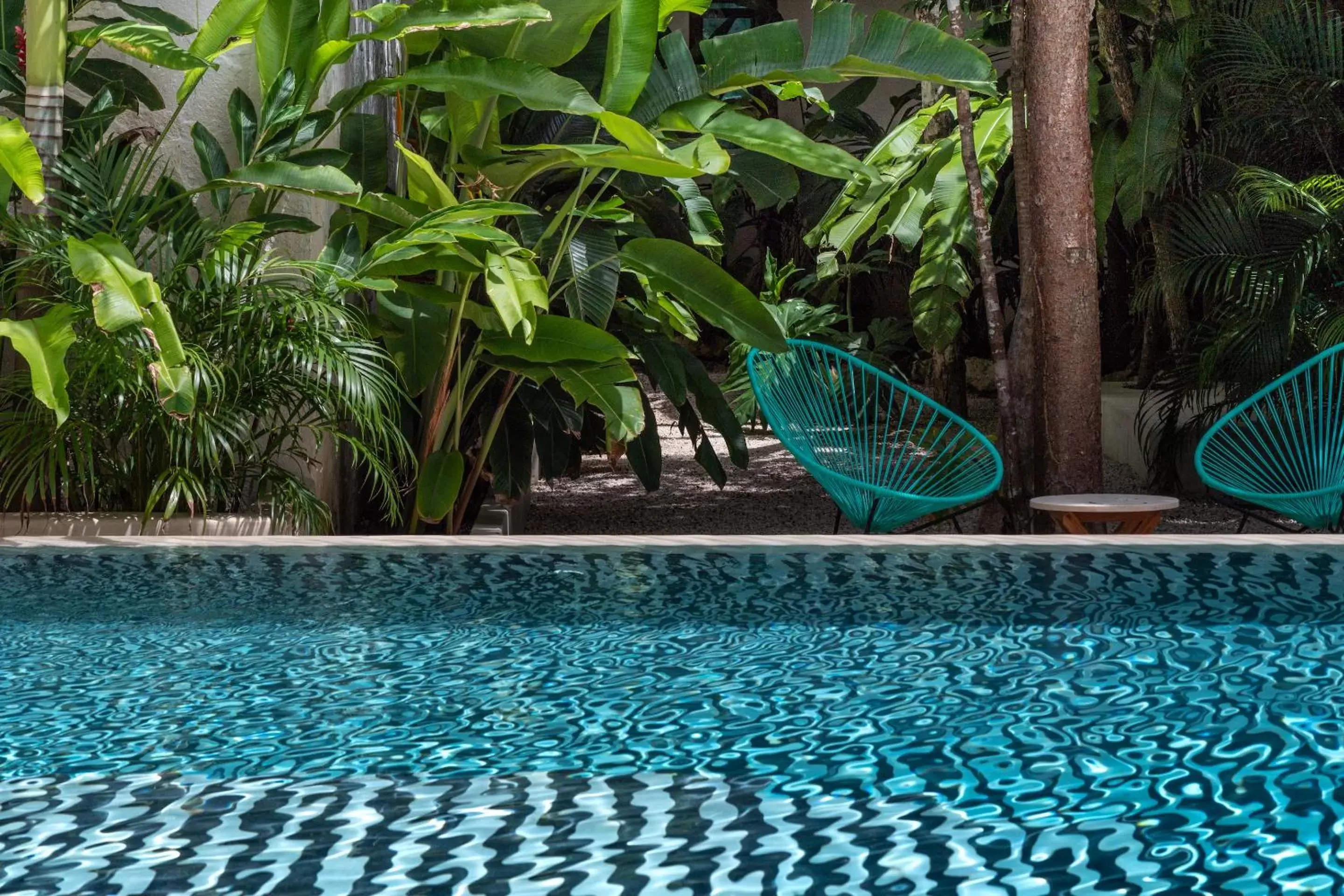 Swimming Pool in Hotel Tiki Tiki Tulum