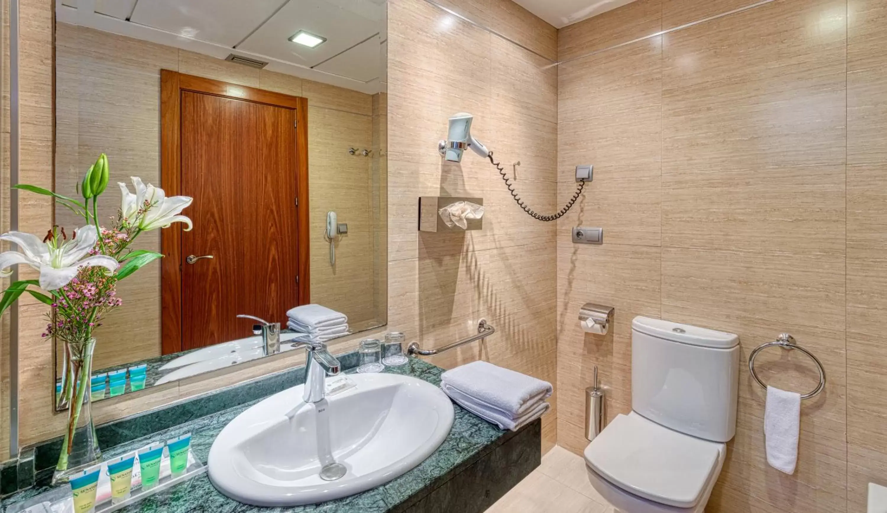 Toilet, Bathroom in Senator Granada Spa Hotel