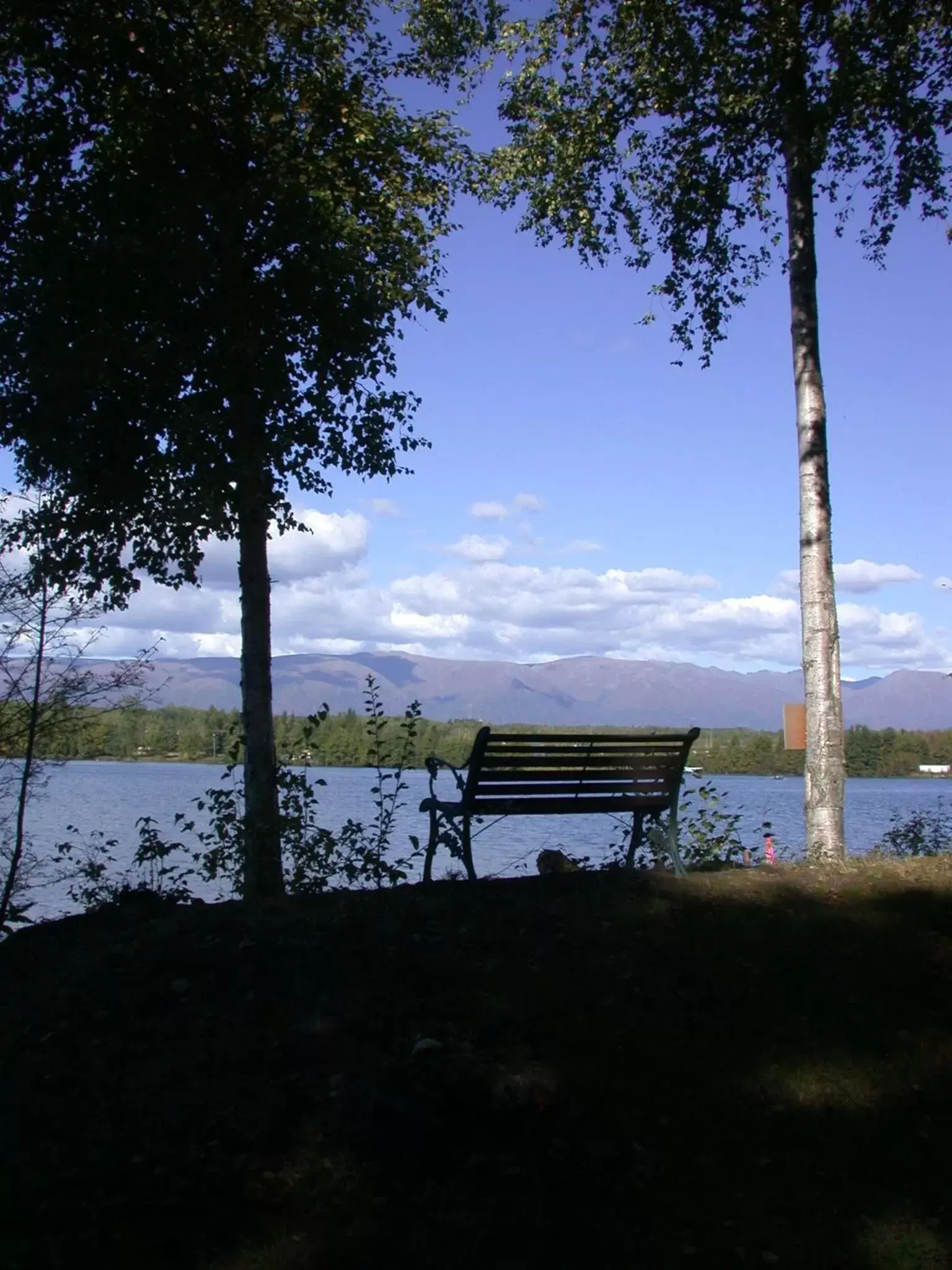 Lake view in Alaska's Lake Lucille Bed & Breakfast