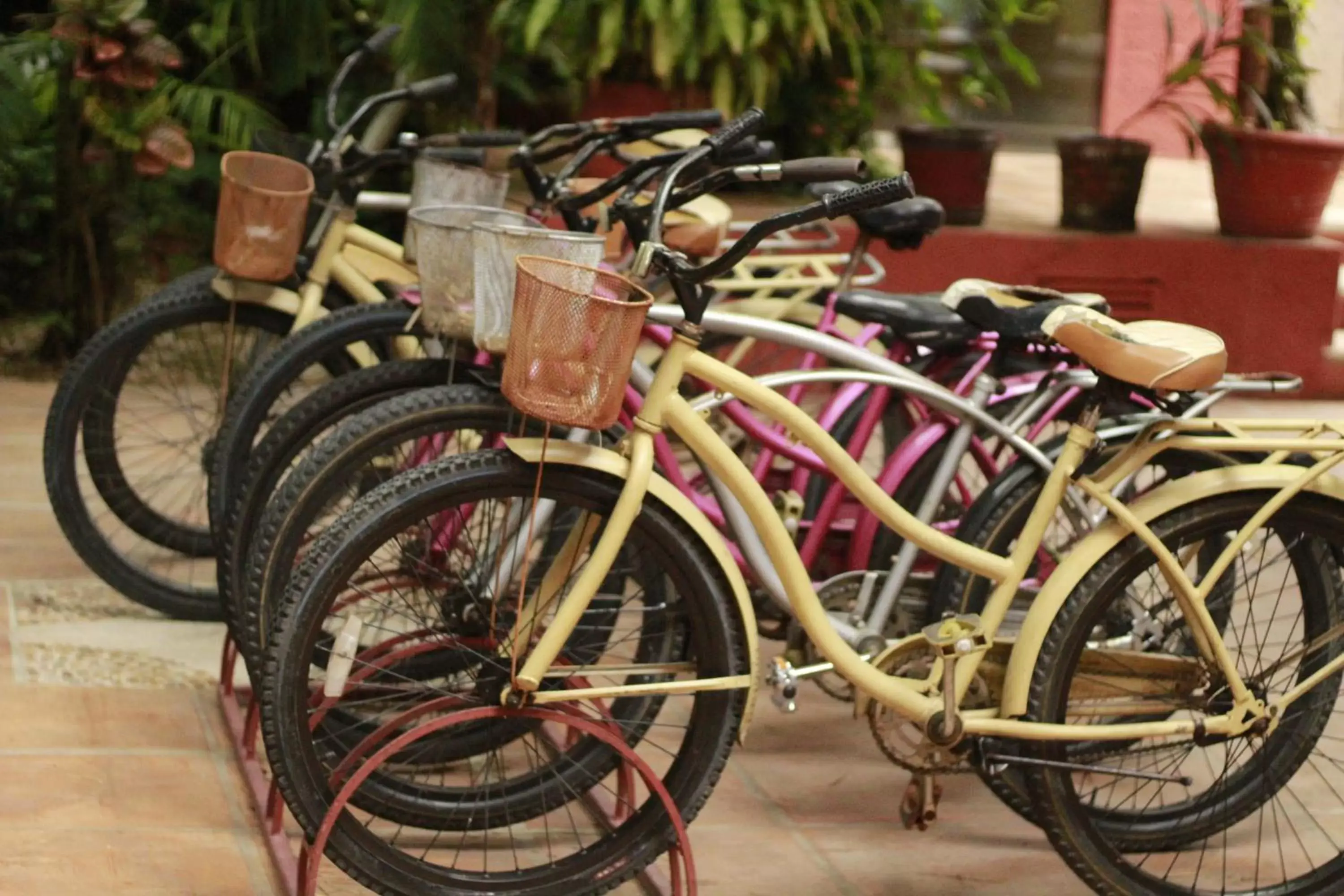 Biking in Casa de los Sueños Hotel Boutique